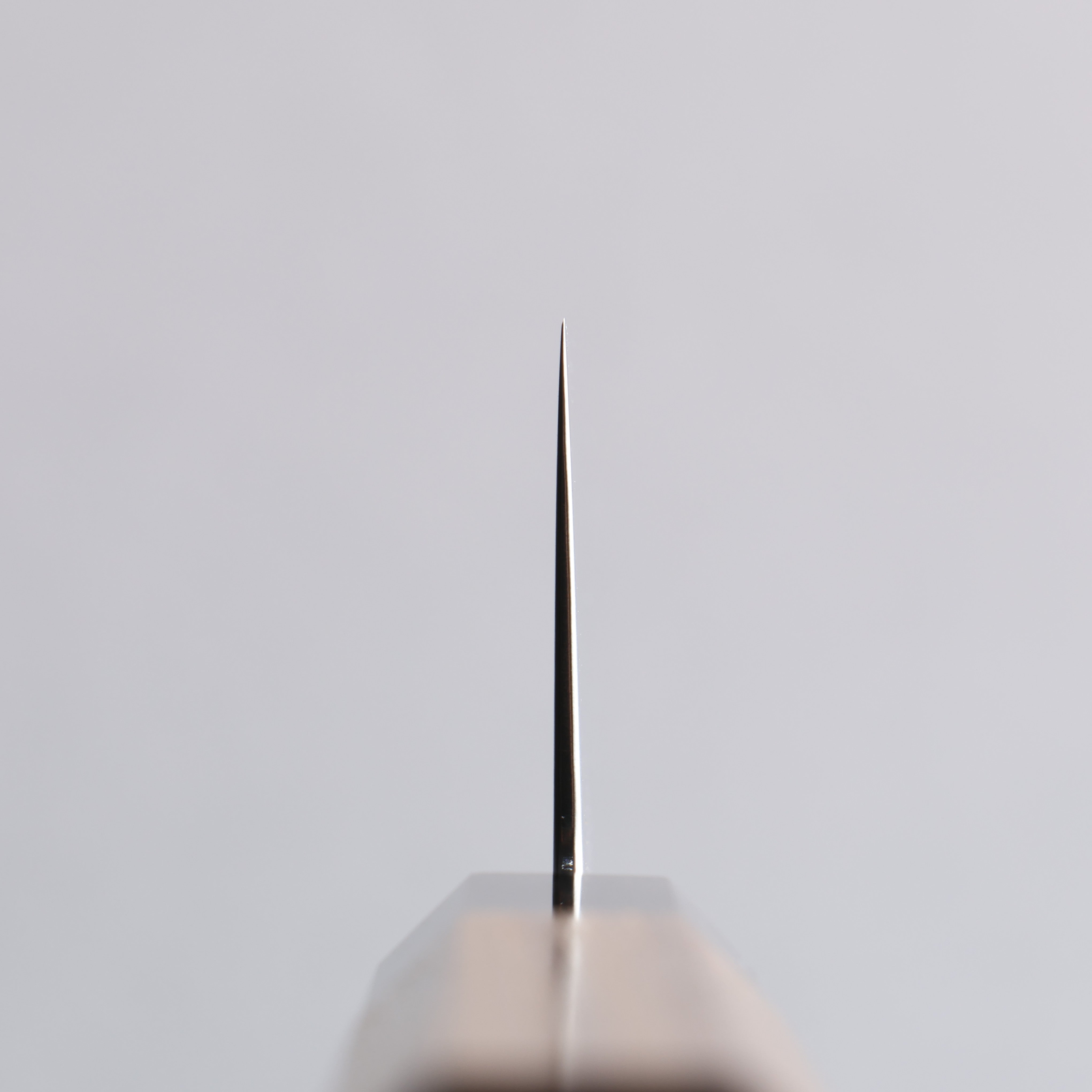 Seisuke VG10 Damascus Gyuto 210mm Teak (ferrule: Black Water Buffalo Horn) Handle - Japanny - Best Japanese Knife