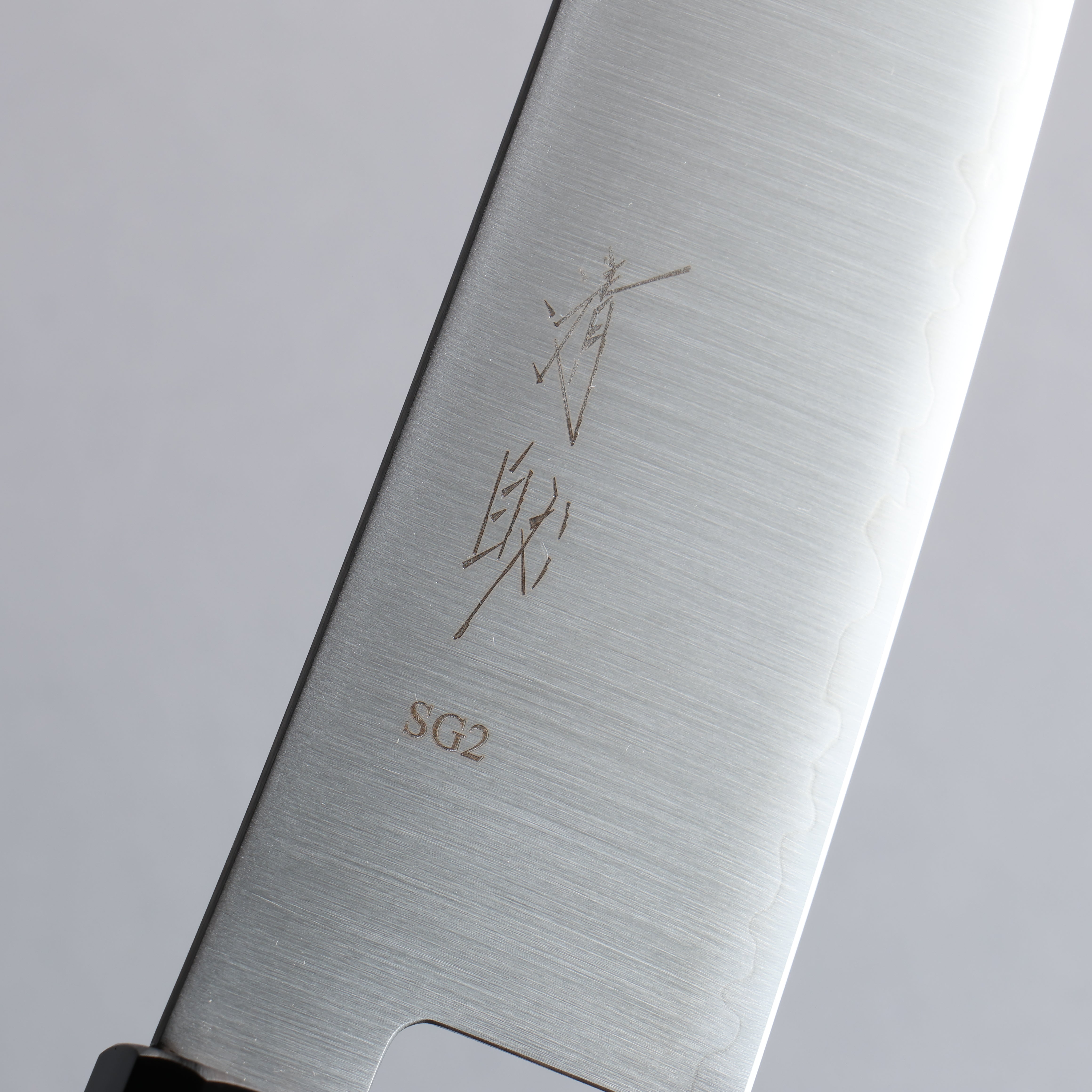 Seisuke SG2 Gyuto 210mm Wenge Handle - Japanny - Best Japanese Knife