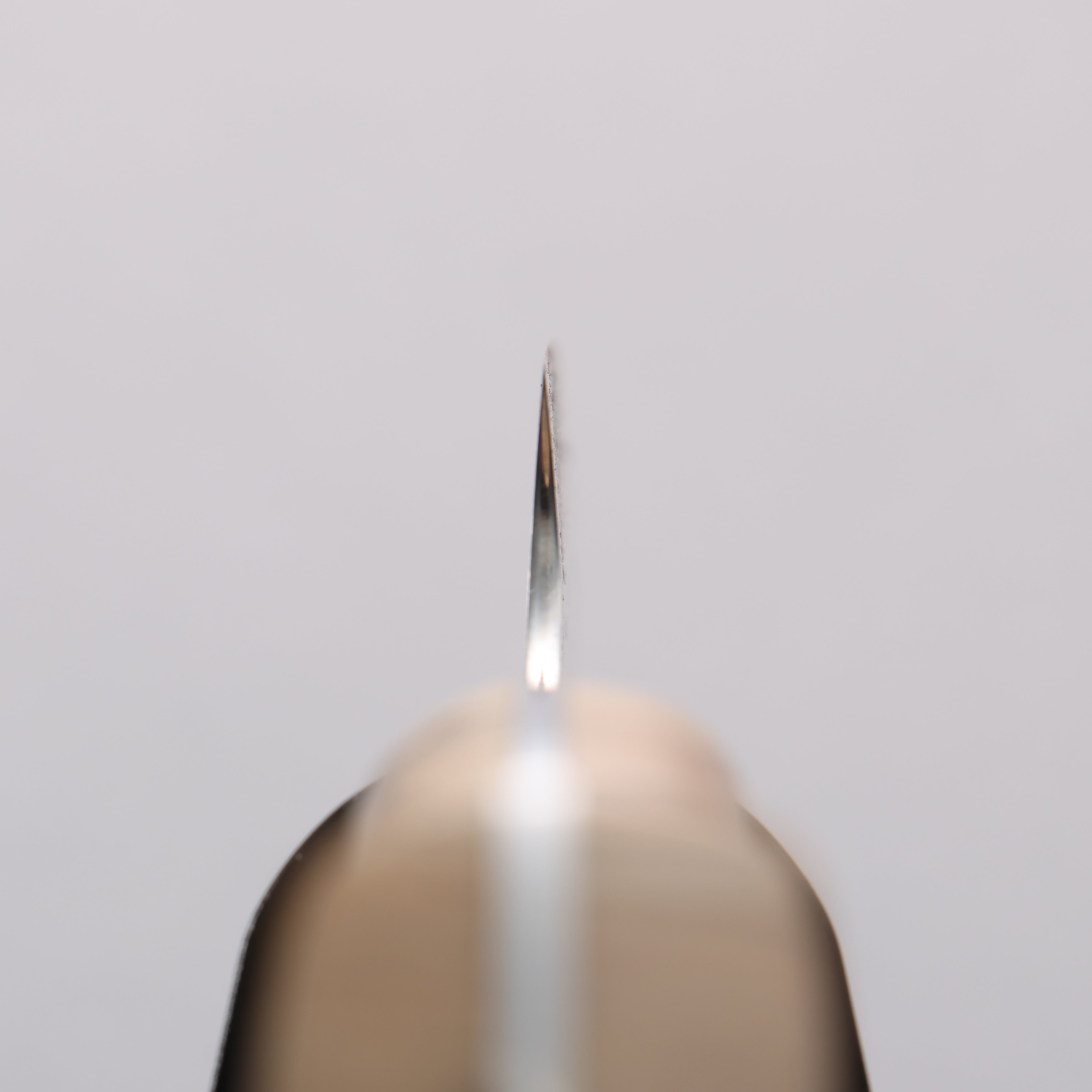 Yuto Kawagoe Blue Steel No.2 Kiritsuke Petty-Utility 125mm Spalted Wood Handle - Japanny - Best Japanese Knife