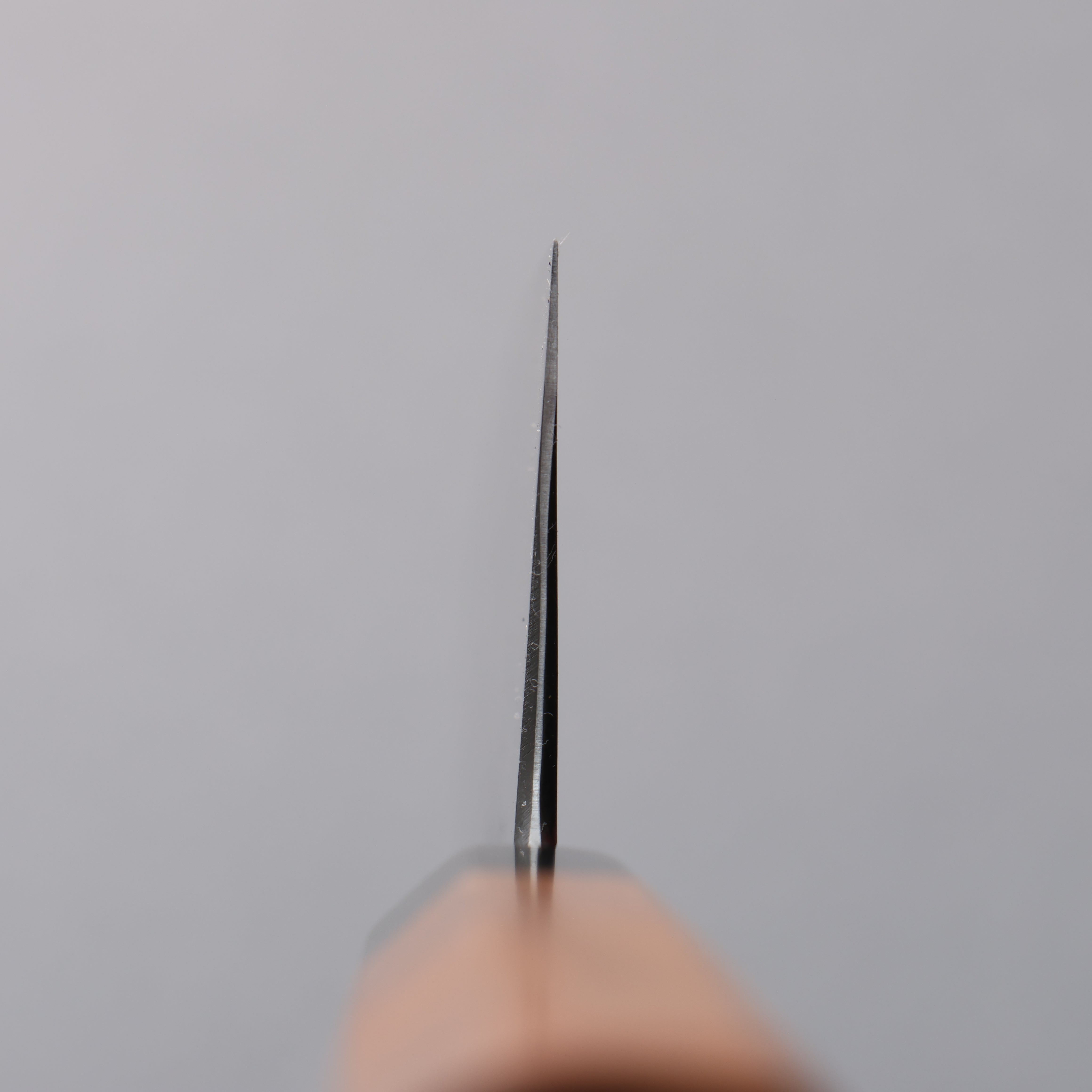 Tessen by Tanaka Tamahagane Gyuto 240mm Wild Cherry Handle - Japanny - Best Japanese Knife