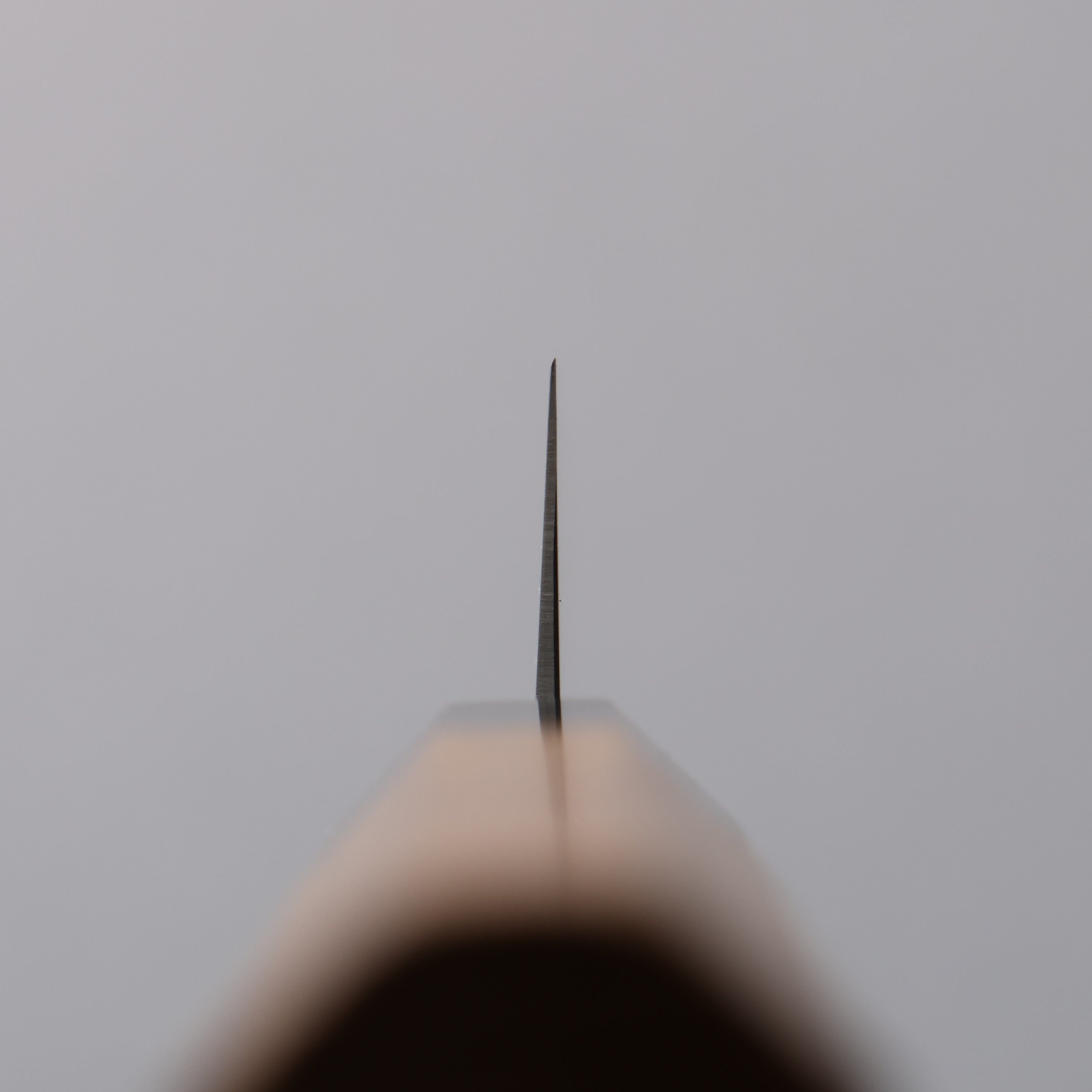 Seisuke SG2 Kiritsuke Petty-Utility 150mm Teak (ferrule: Black Water Buffalo Horn) Handle - Japanny - Best Japanese Knife