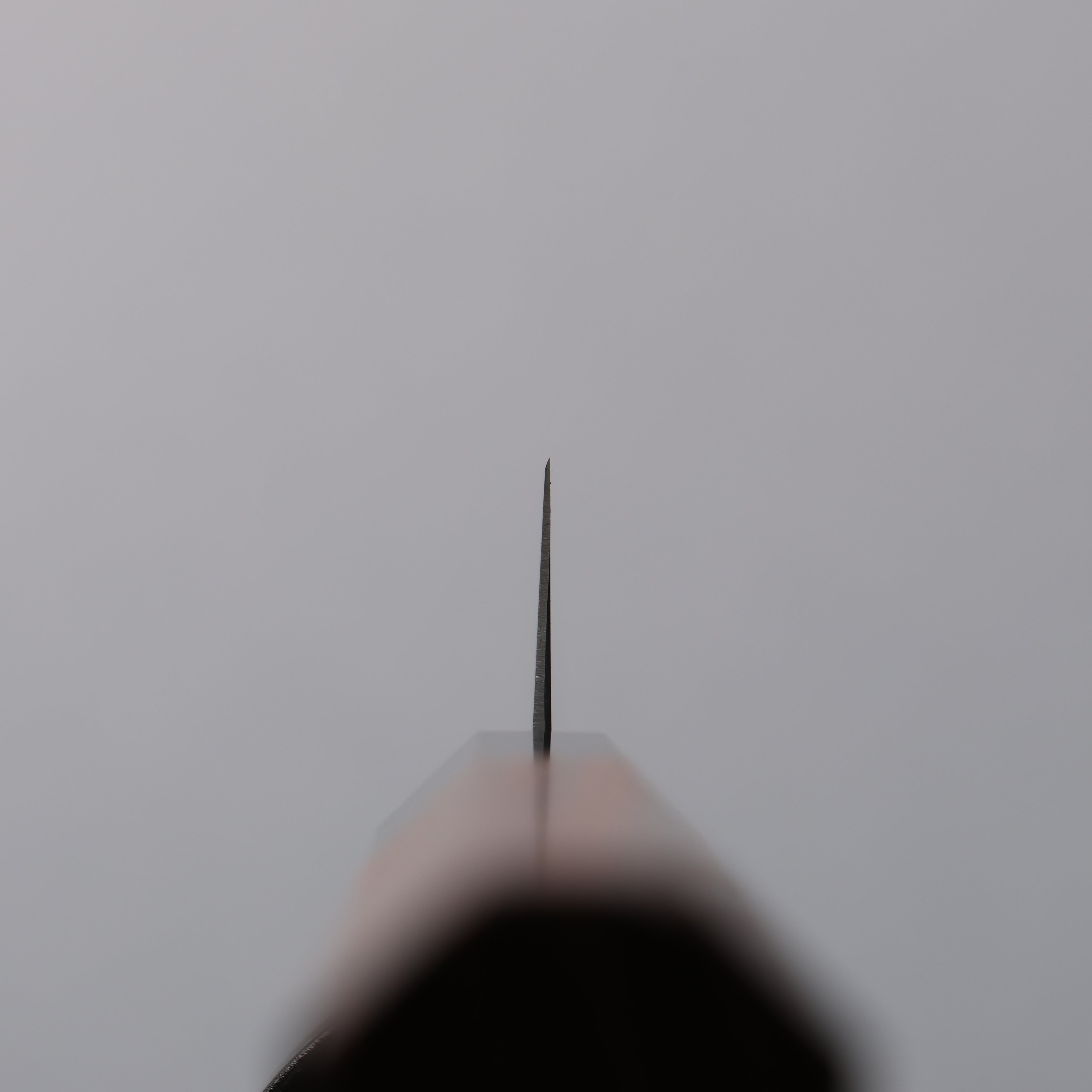 Seisuke SG2 Kiritsuke Petty-Utility 150mm Wenge Handle - Japanny - Best Japanese Knife