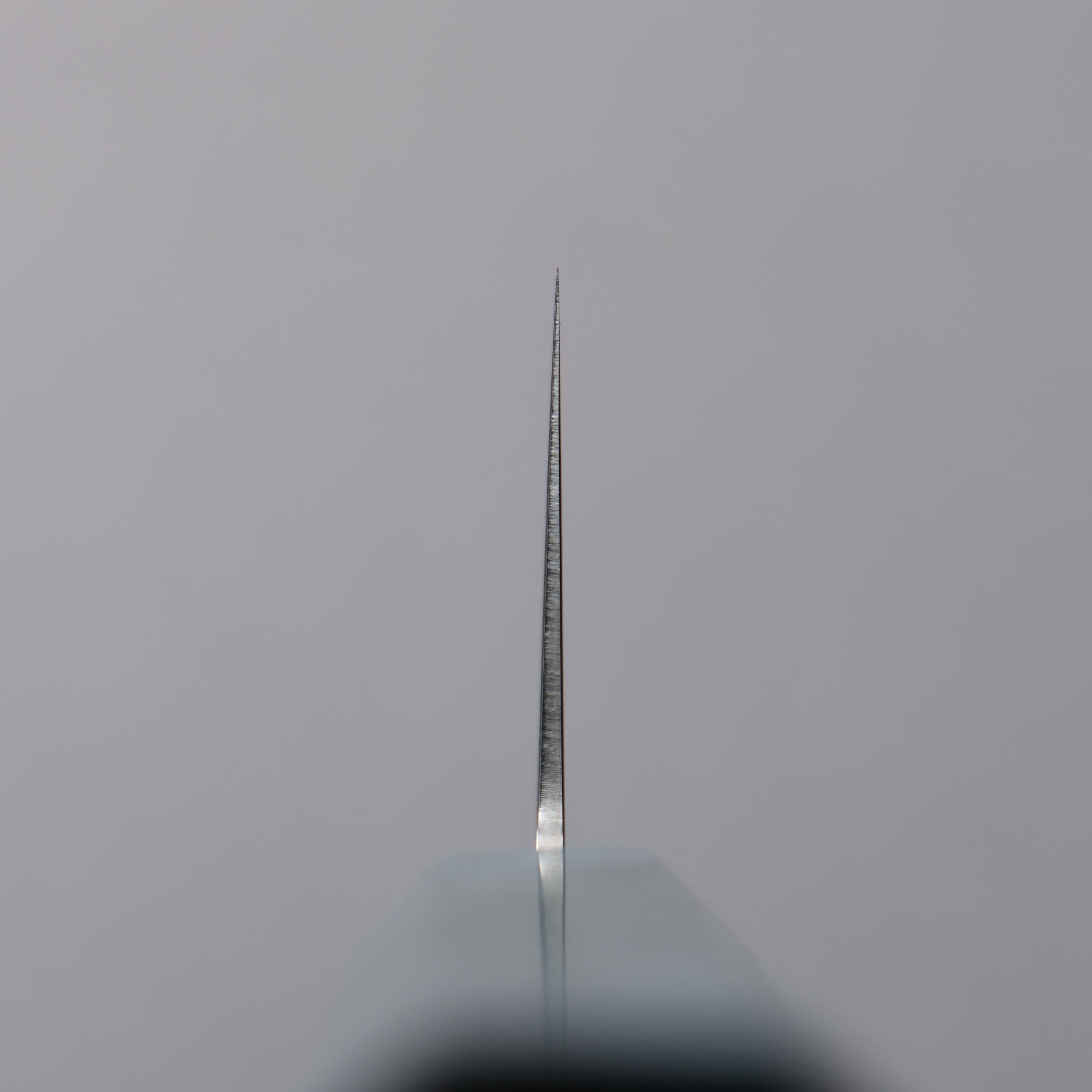 Seisuke SG2 Damascus Migaki Finished Gyuto 210mm Blue Stabilized Wood Handle - Japanny - Best Japanese Knife