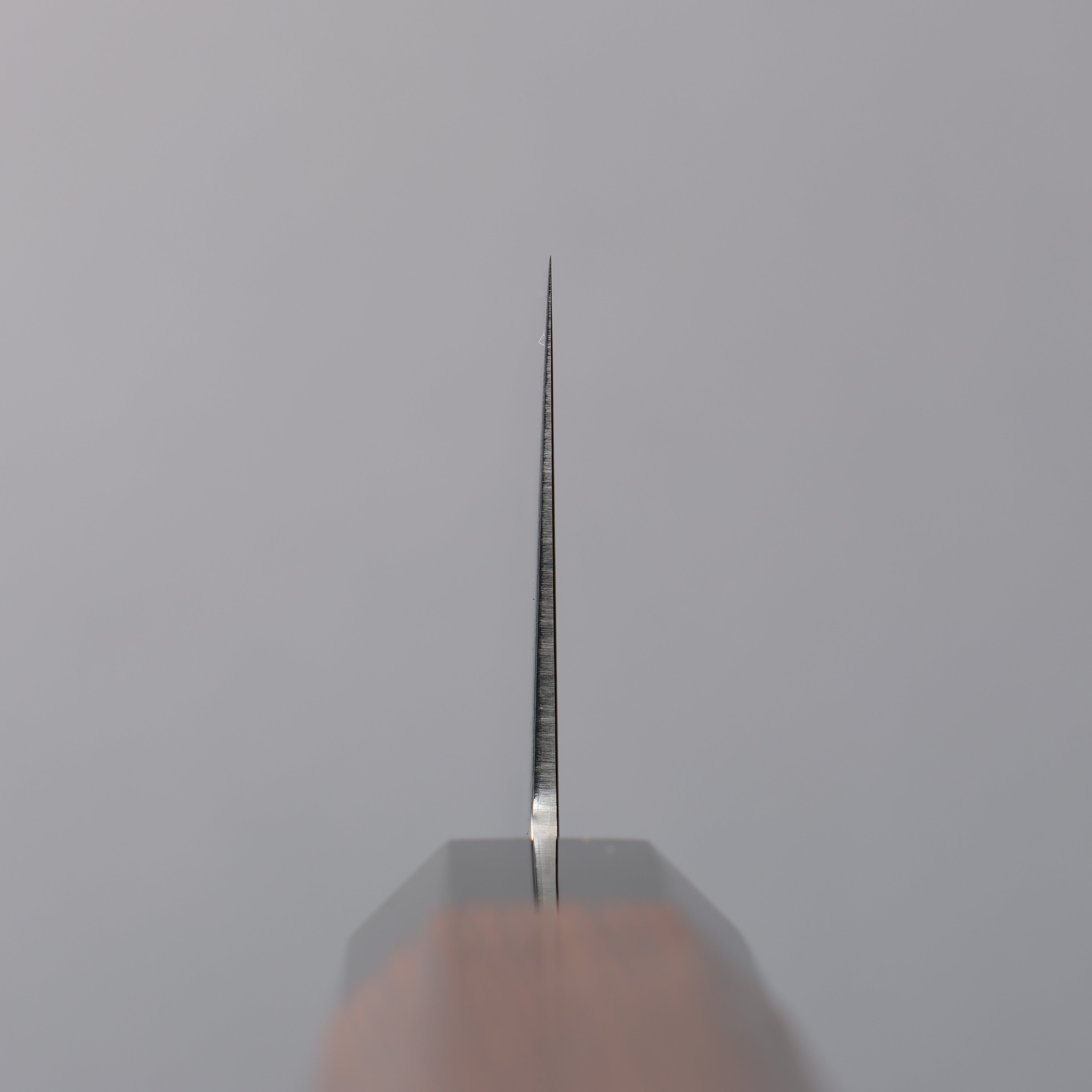 Seisuke SG2 Damascus Migaki Finished Gyuto 210mm Wenge Handle - Japanny - Best Japanese Knife