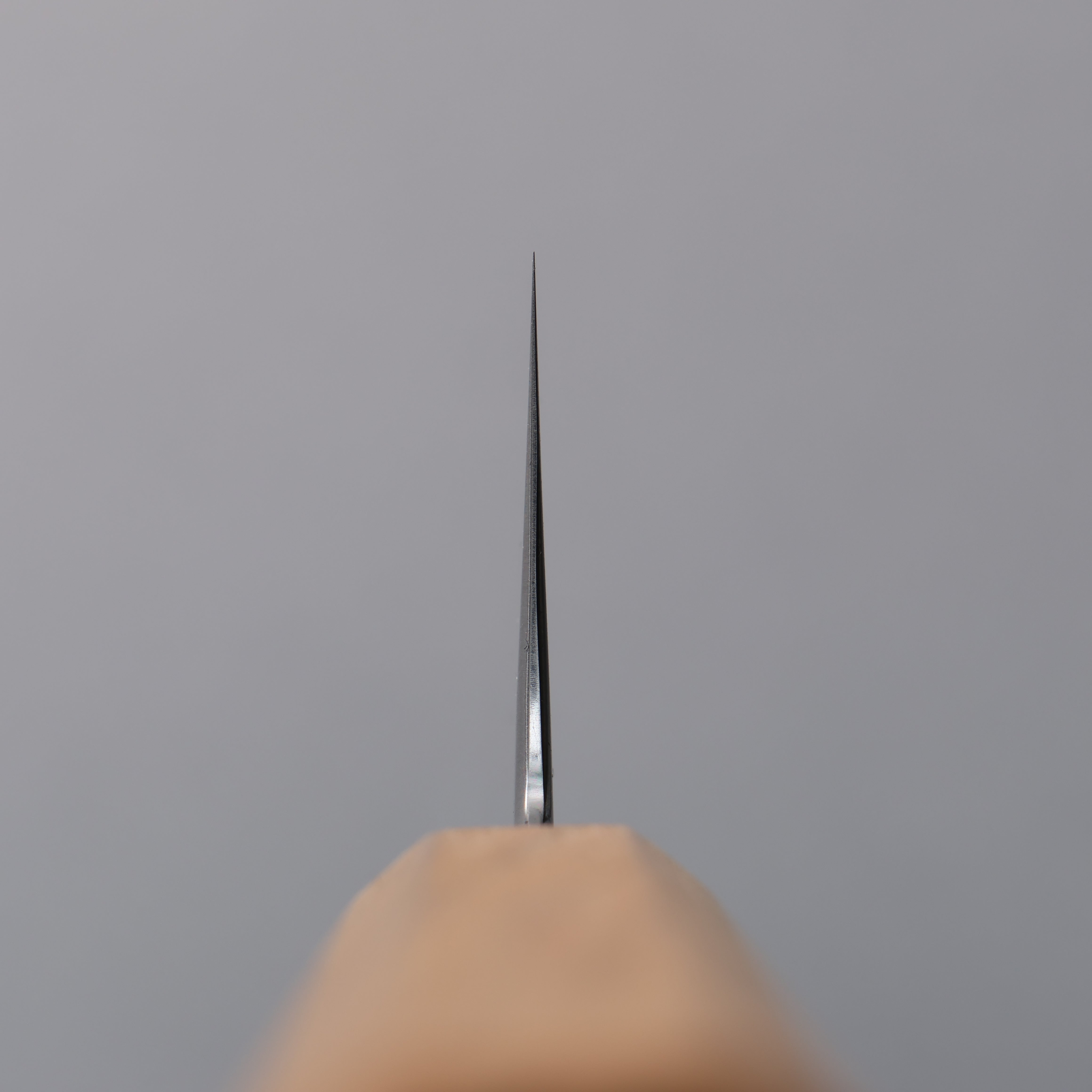 Kagekiyo Finest White Steel No.2 Kiritsuke Gyuto 240mm Cherry Tree Handle with Sheath - Japanny - Best Japanese Knife