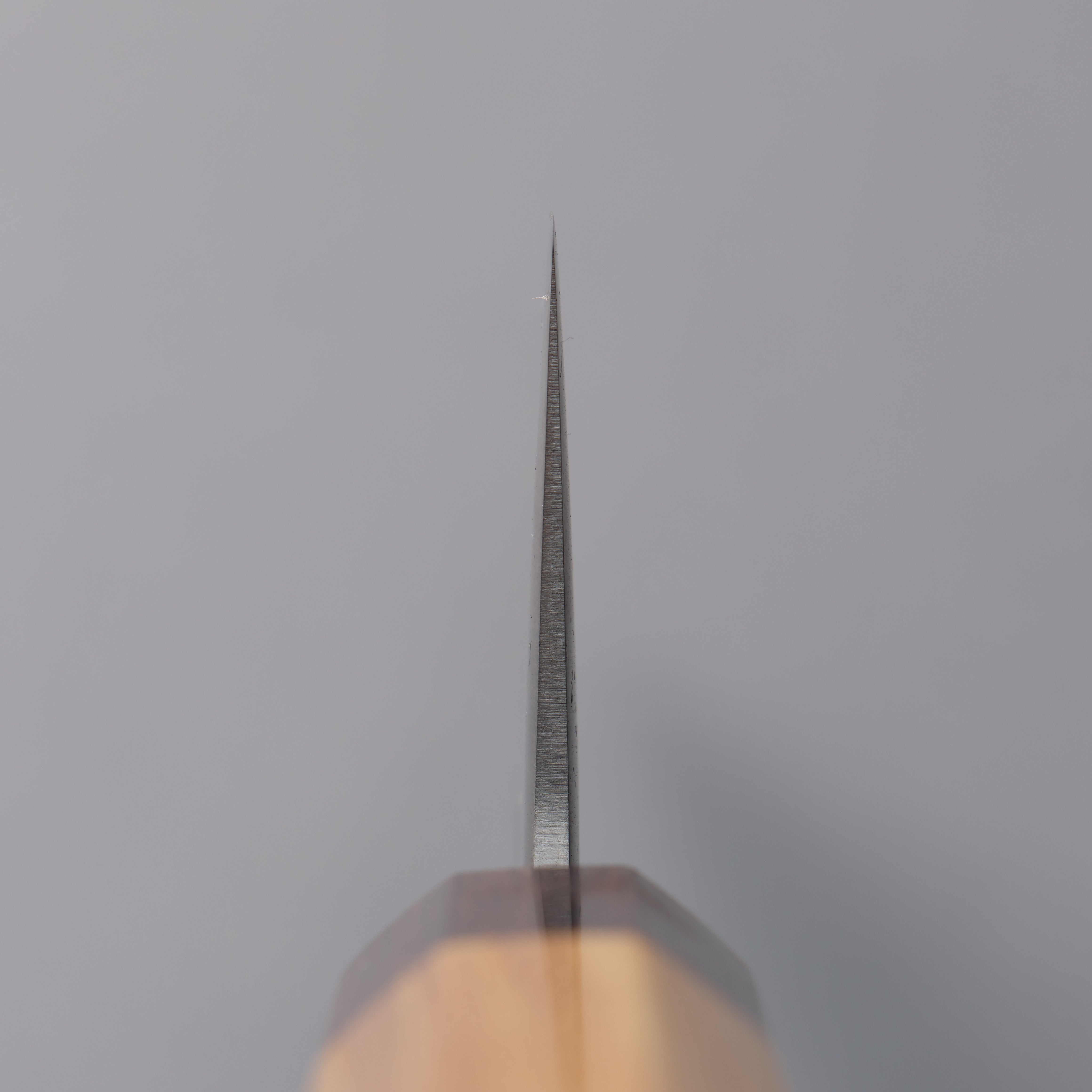 Oul White Steel No.1 Gyuto 240mm Keyaki (Japanese Elm) Handle - Japanny - Best Japanese Knife