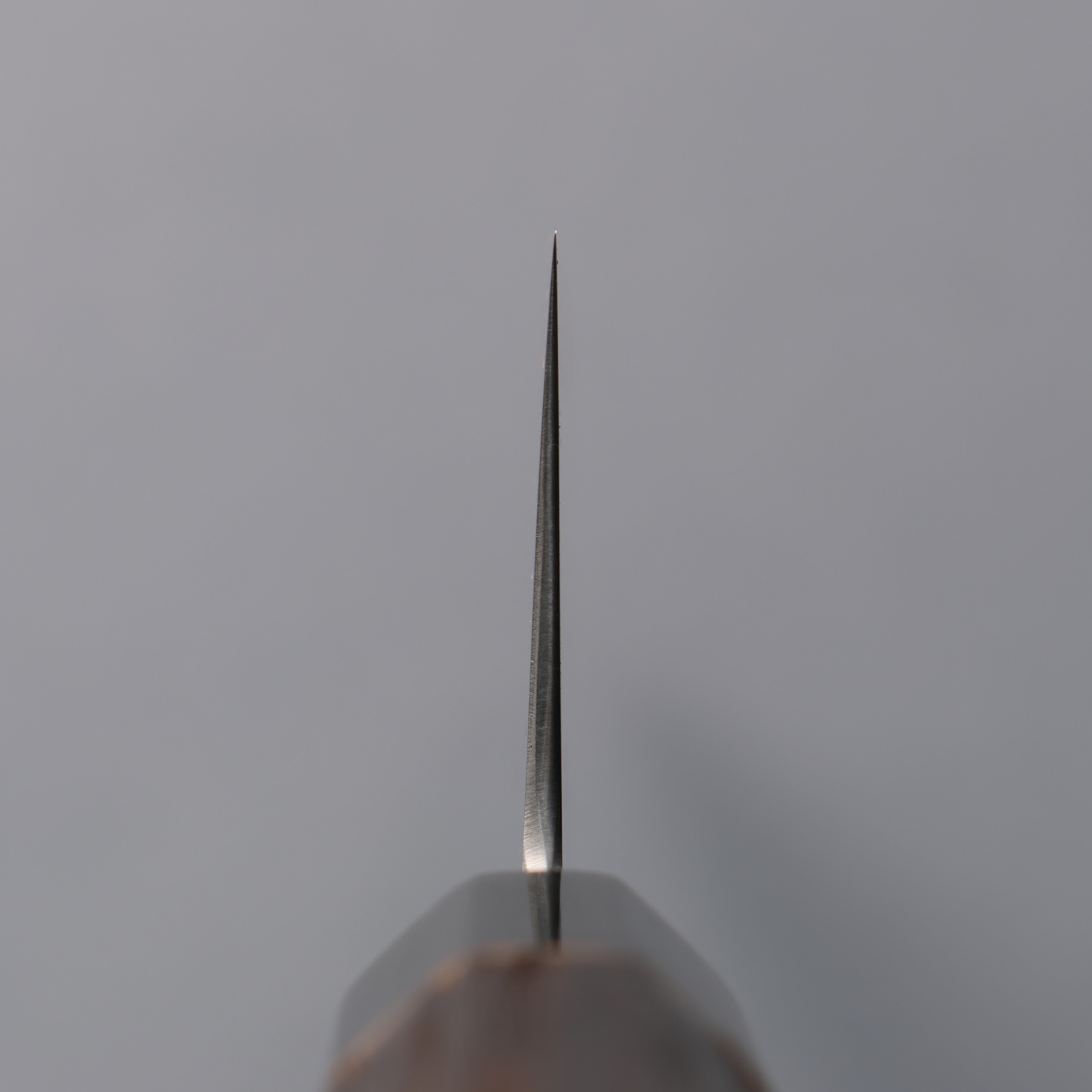 Seisuke Swedish Steel-stn Gyuto 240mm Burnt Chestnut Handle - Japanny - Best Japanese Knife