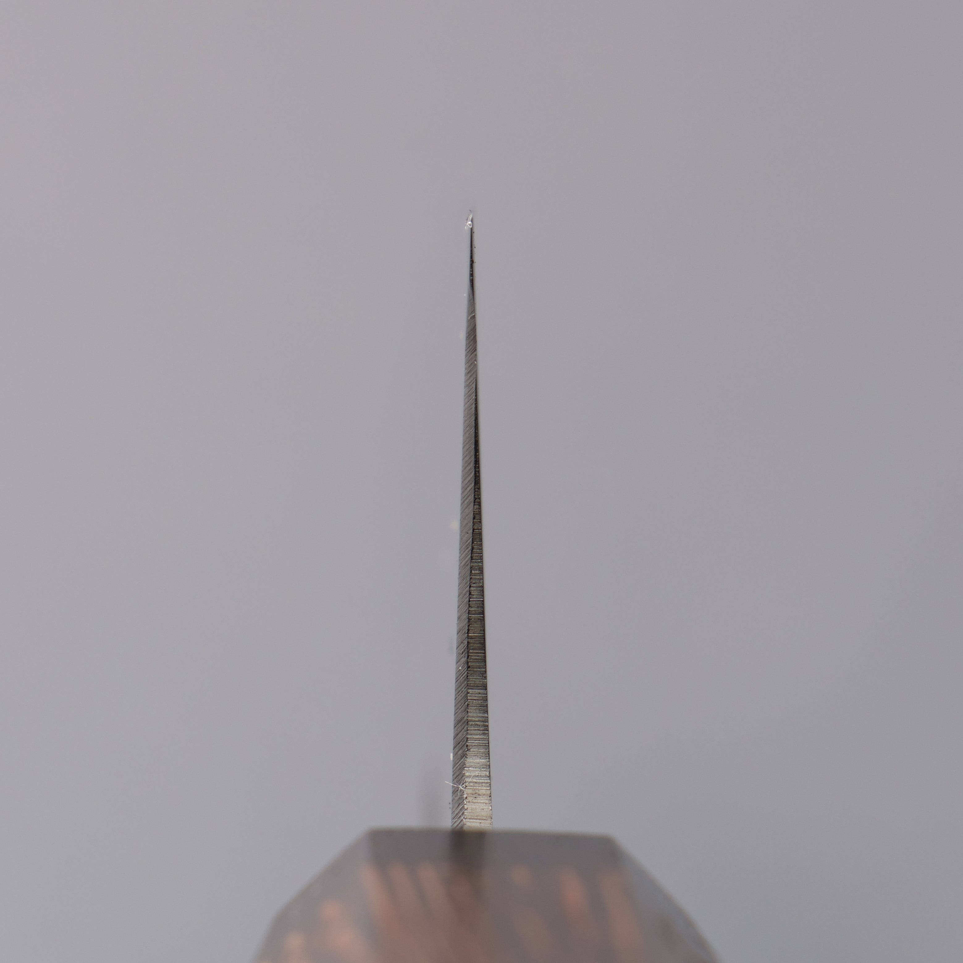 Sakai Takayuki Grand Chef Antares Swedish Steel-stn Gyuto 270mm Wenge Handle - Japanny - Best Japanese Knife