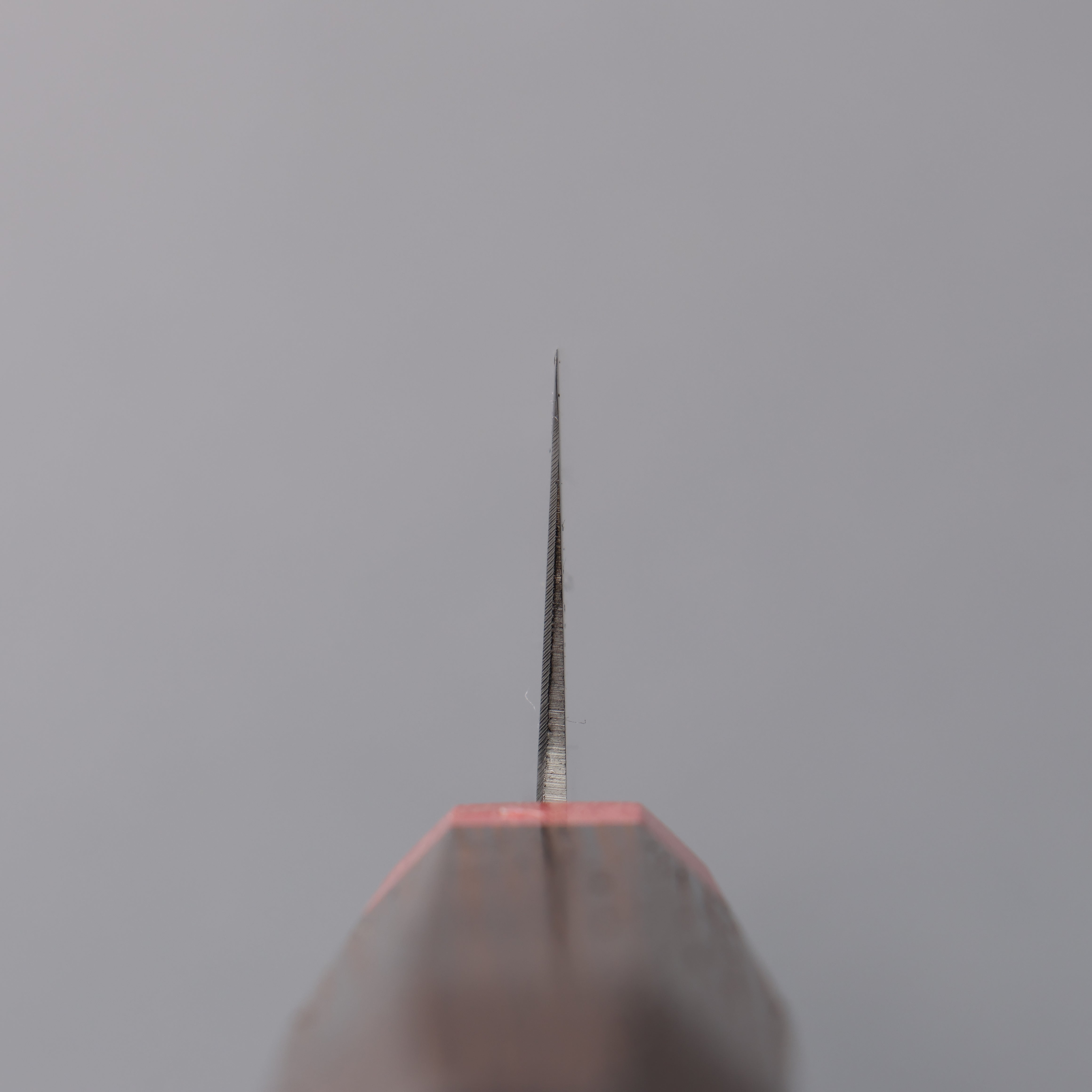 Sakai Takayuki Grand Chef Antares Swedish Steel-stn Sujihiki 270mm Wenge Handle - Japanny - Best Japanese Knife