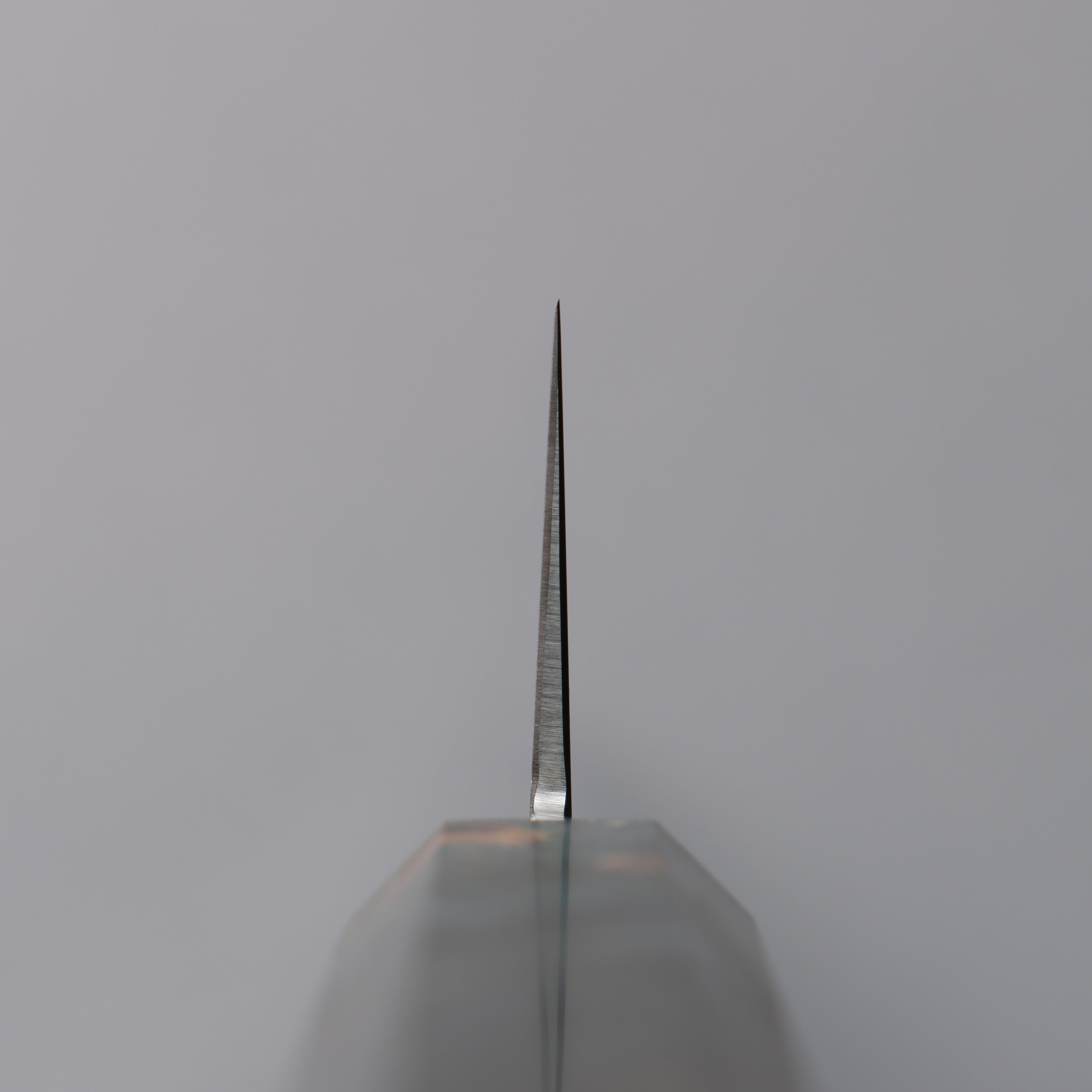 Seisuke VG10 Mirrored Finish Sujihiki 300mm Stabilized wood Handle - Japanny - Best Japanese Knife