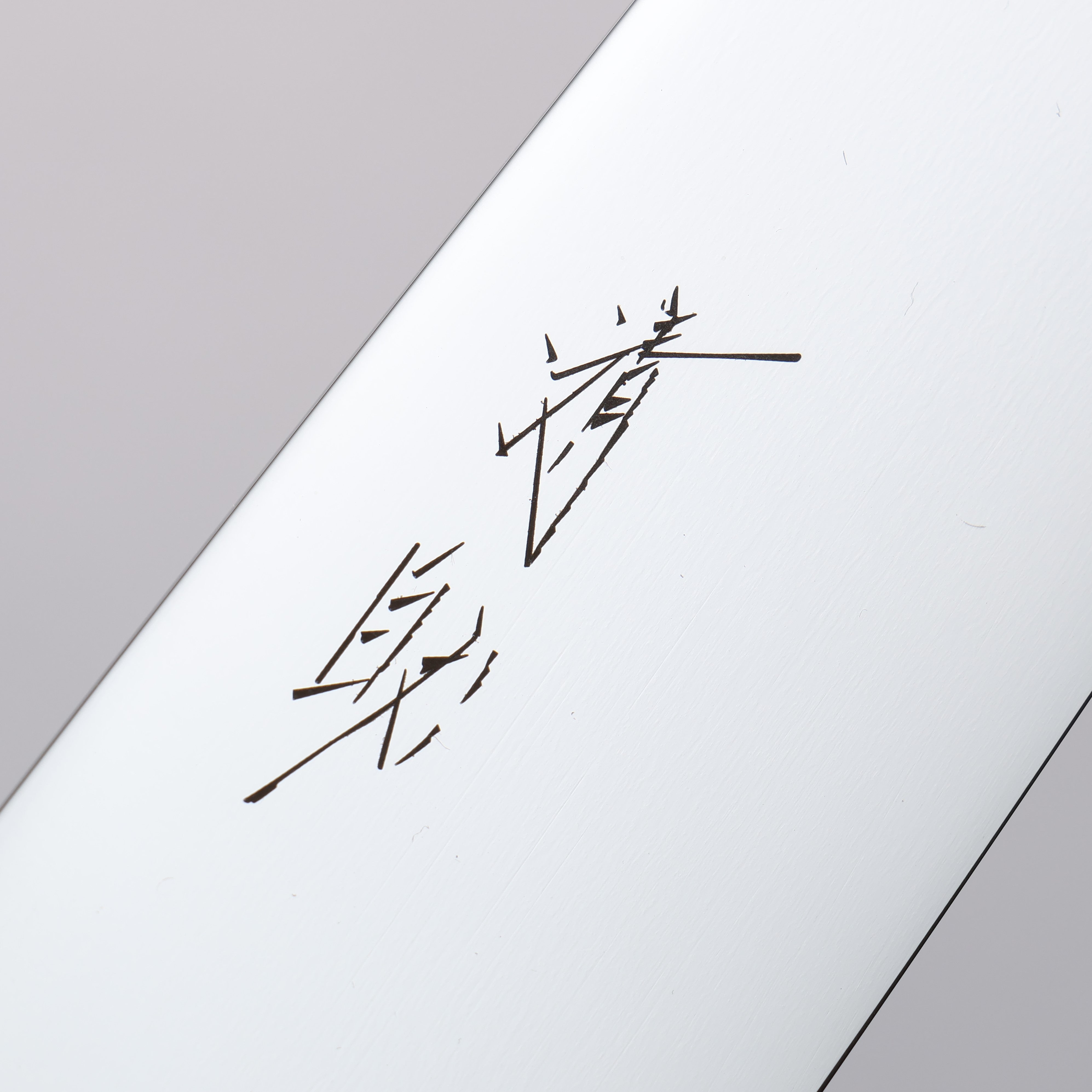 Seisuke VG10 Mirrored Finish Sujihiki 270mm Stabilized wood Handle - Japanny - Best Japanese Knife