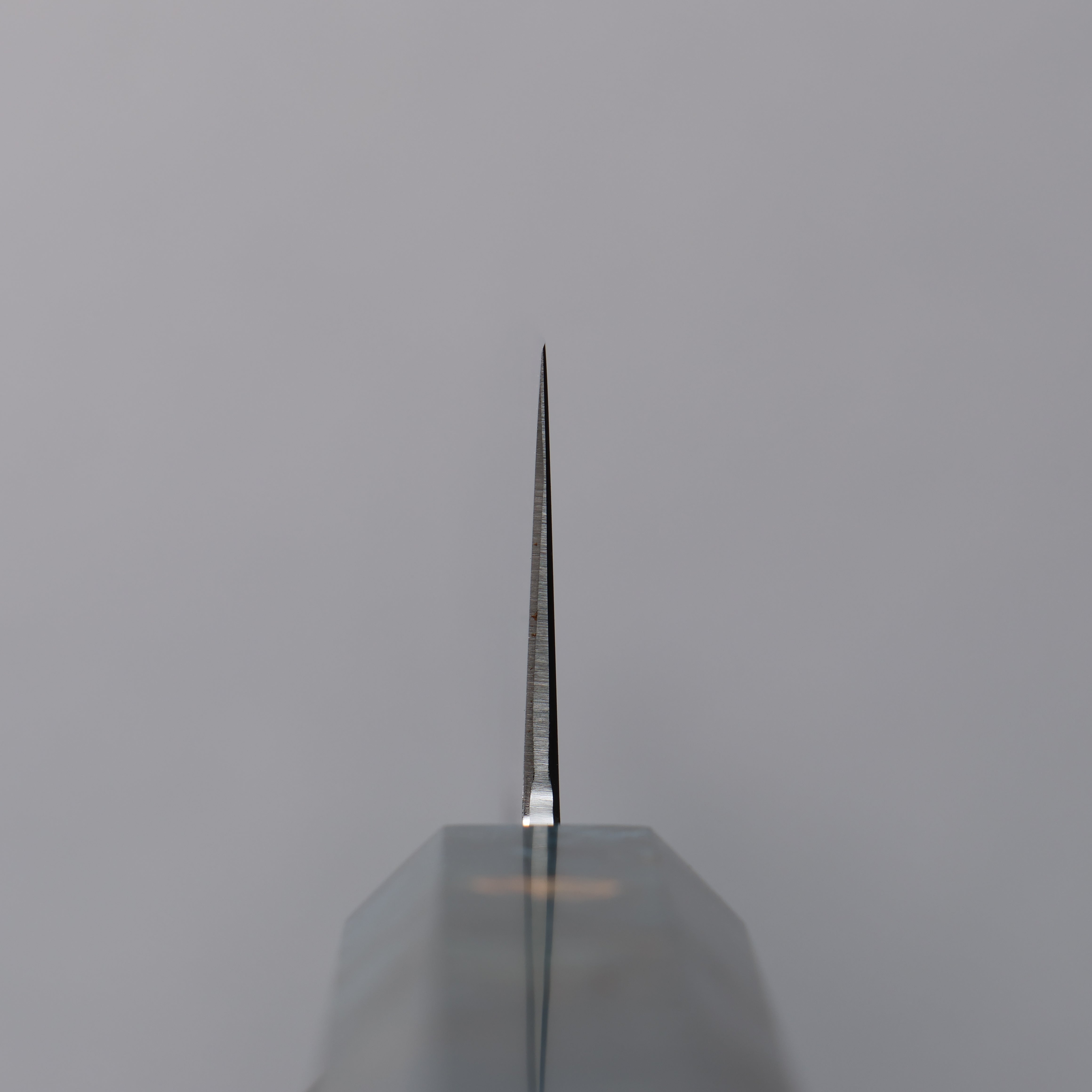 Seisuke VG10 Mirrored Finish Sujihiki 270mm Stabilized wood Handle - Japanny - Best Japanese Knife