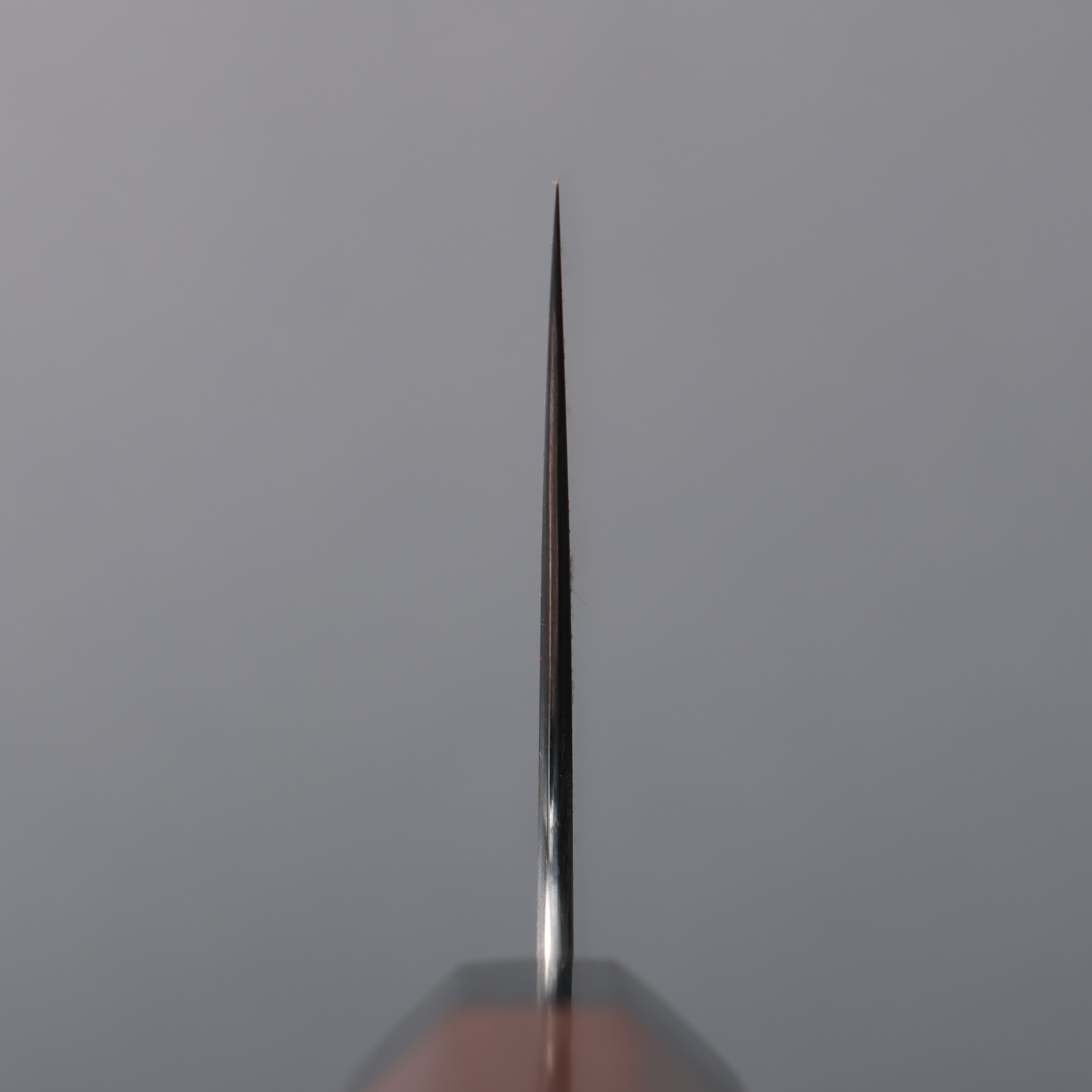 Shibata Takayuki Koutetsu Blue Super Nakiri 165mm Jarrah Handle - Japanny - Best Japanese Knife