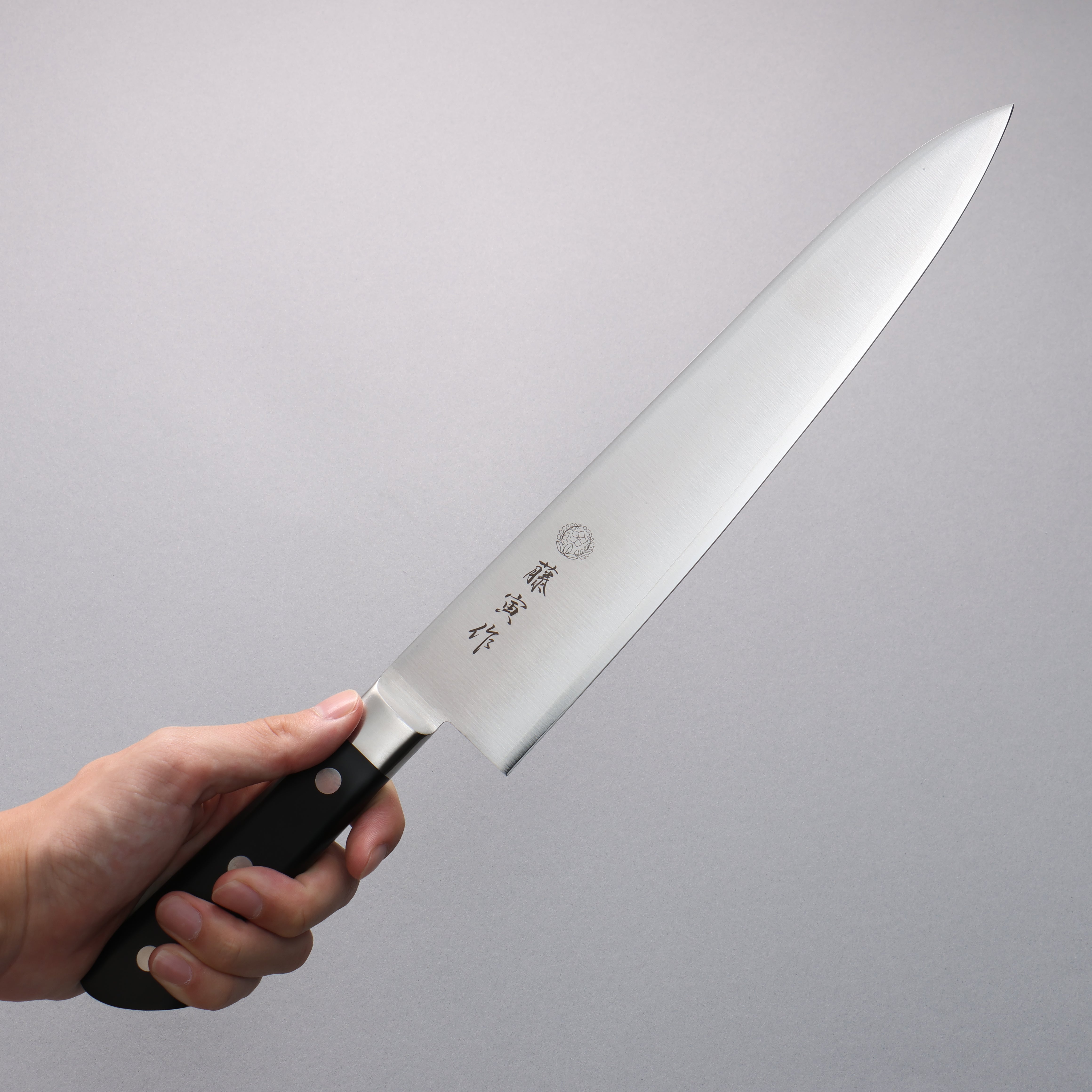 Tojiro (Fujitora) DP Cobalt Alloy Steel Gyuto 270mm Pakka wood Handle FU810 - Japanny - Best Japanese Knife