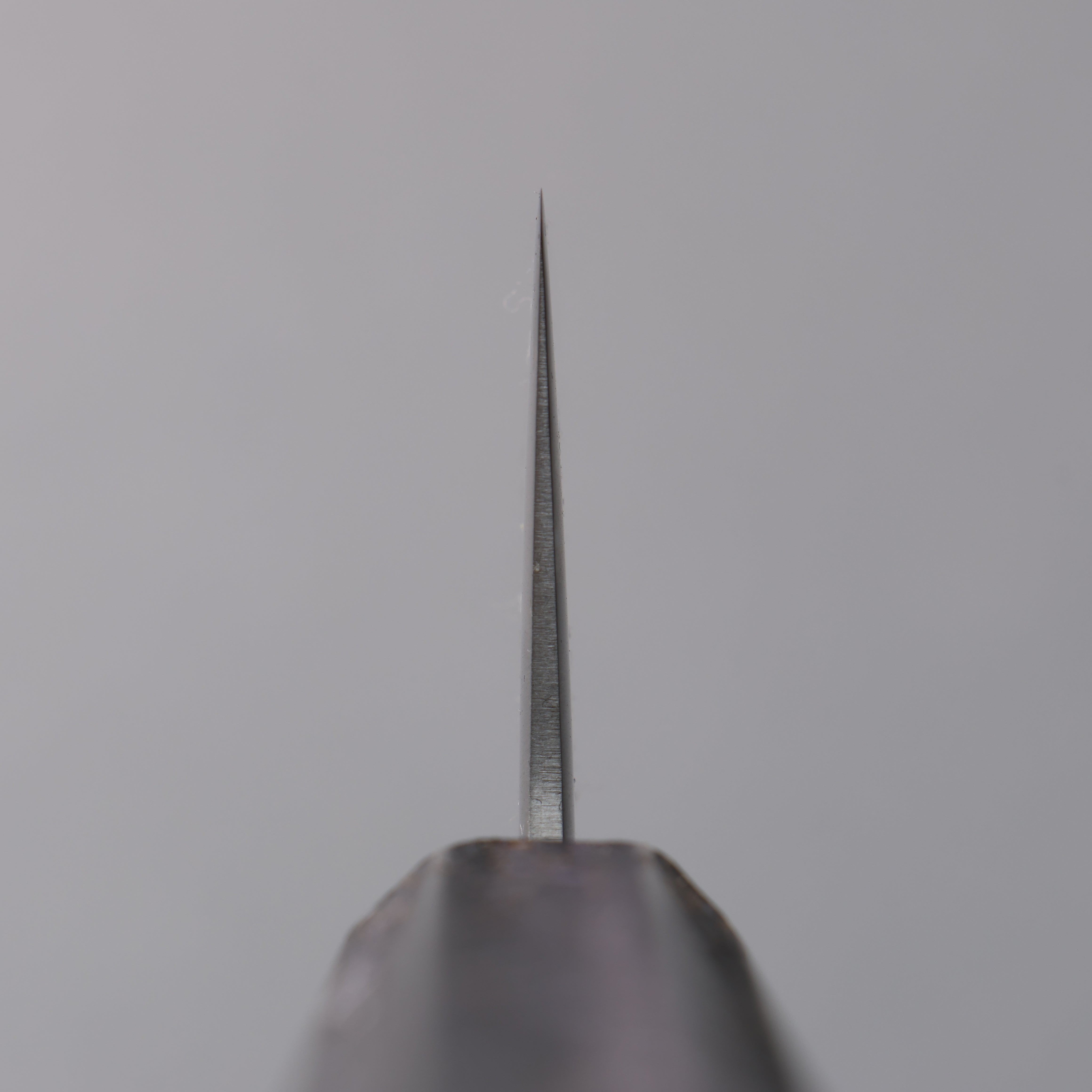 Seisuke White Steel No.1 Migaki Polish Finish Gyuto 240mm Oak with Purple Lacquer Handle - Japanny - Best Japanese Knife