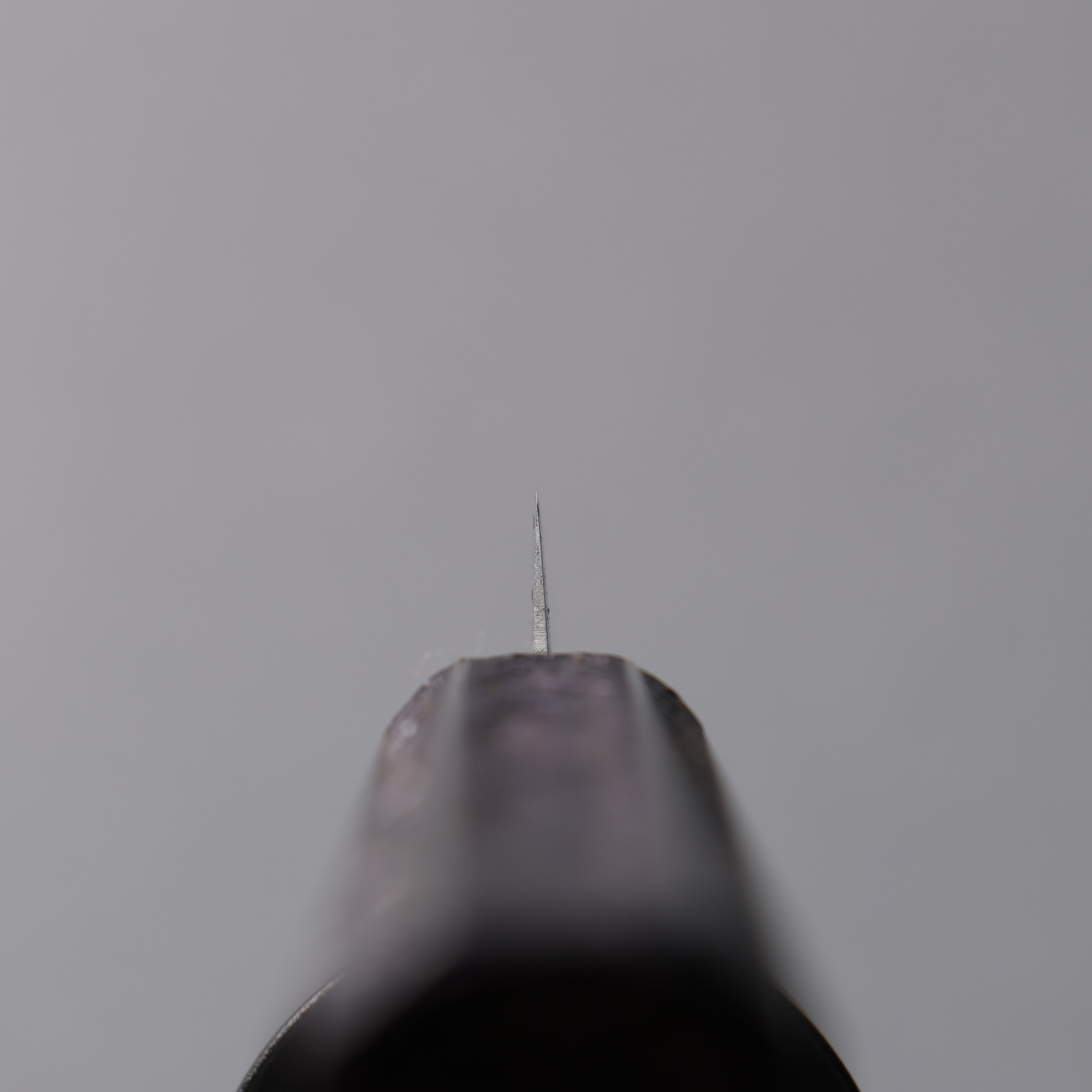 Seisuke White Steel No.1 Migaki Polish Finish Paring 80mm Oak with Purple Lacquer Handle - Japanny - Best Japanese Knife