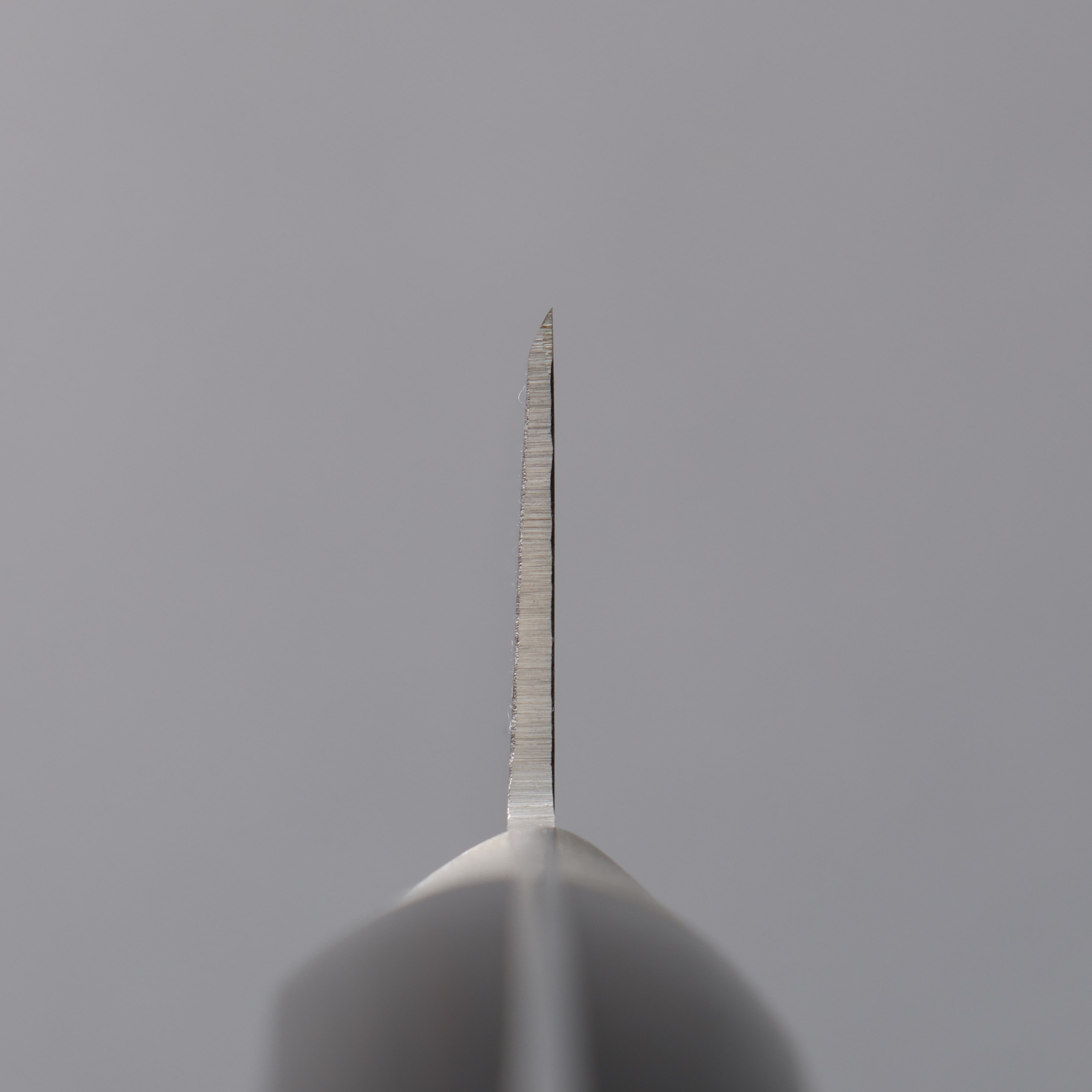 Misono UX10 Stainless Steel Honesuki Boning 145mm - Japanny - Best Japanese Knife