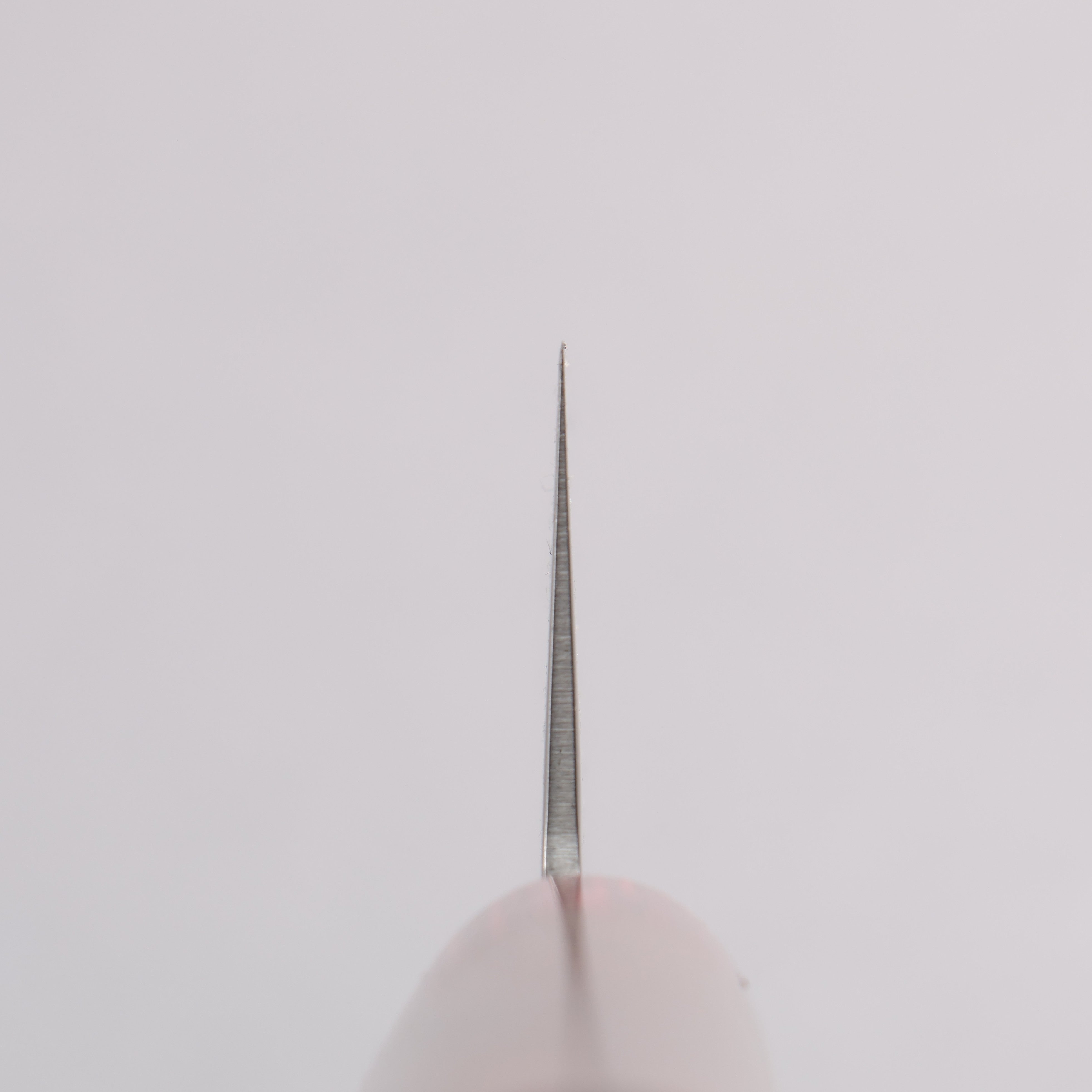 Sakai Takayuki VG10 33 Layer Hammered Damascus Gyuto 210mm Rosewood (ferrule: Red Pakka wood) Handle - Japanny - Best Japanese Knife