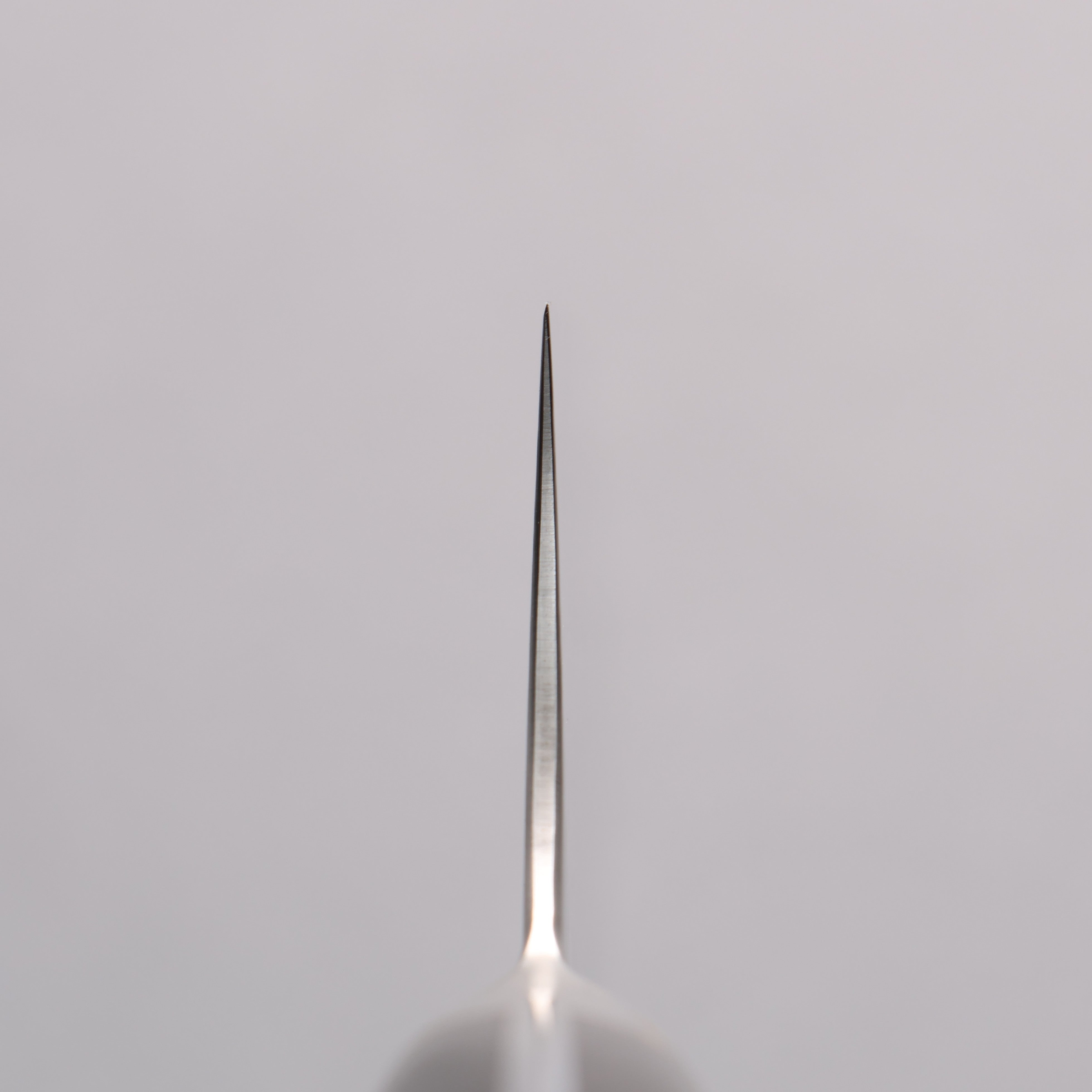 Kajin ZDP189 Damascus Migaki Finished Kiritsuke Gyuto 210mm Abalone Inlay Handle - Japanny - Best Japanese Knife