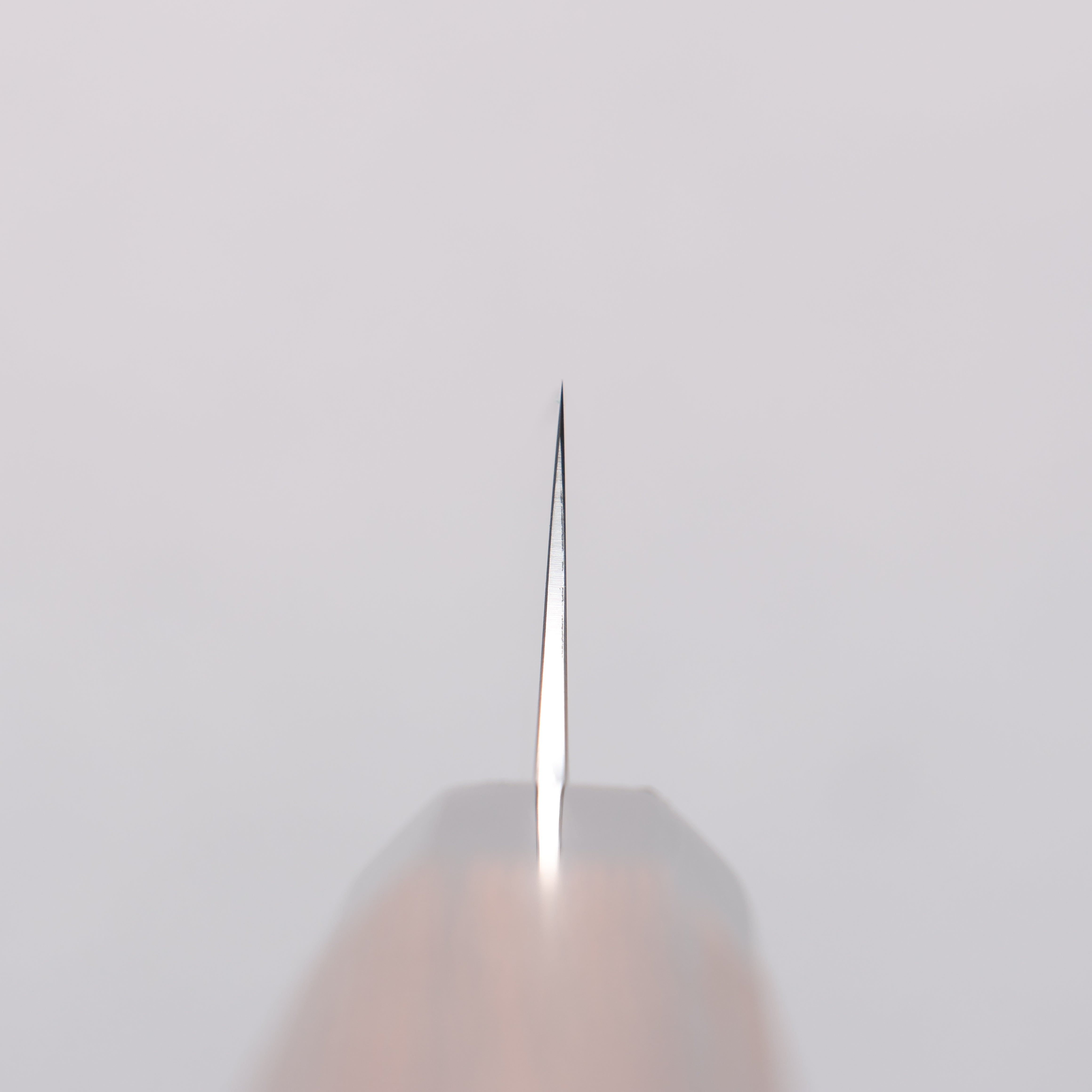 Seisuke Stainless Steel Bread Slicer 240mm Wenge Handle - Japanny - Best Japanese Knife