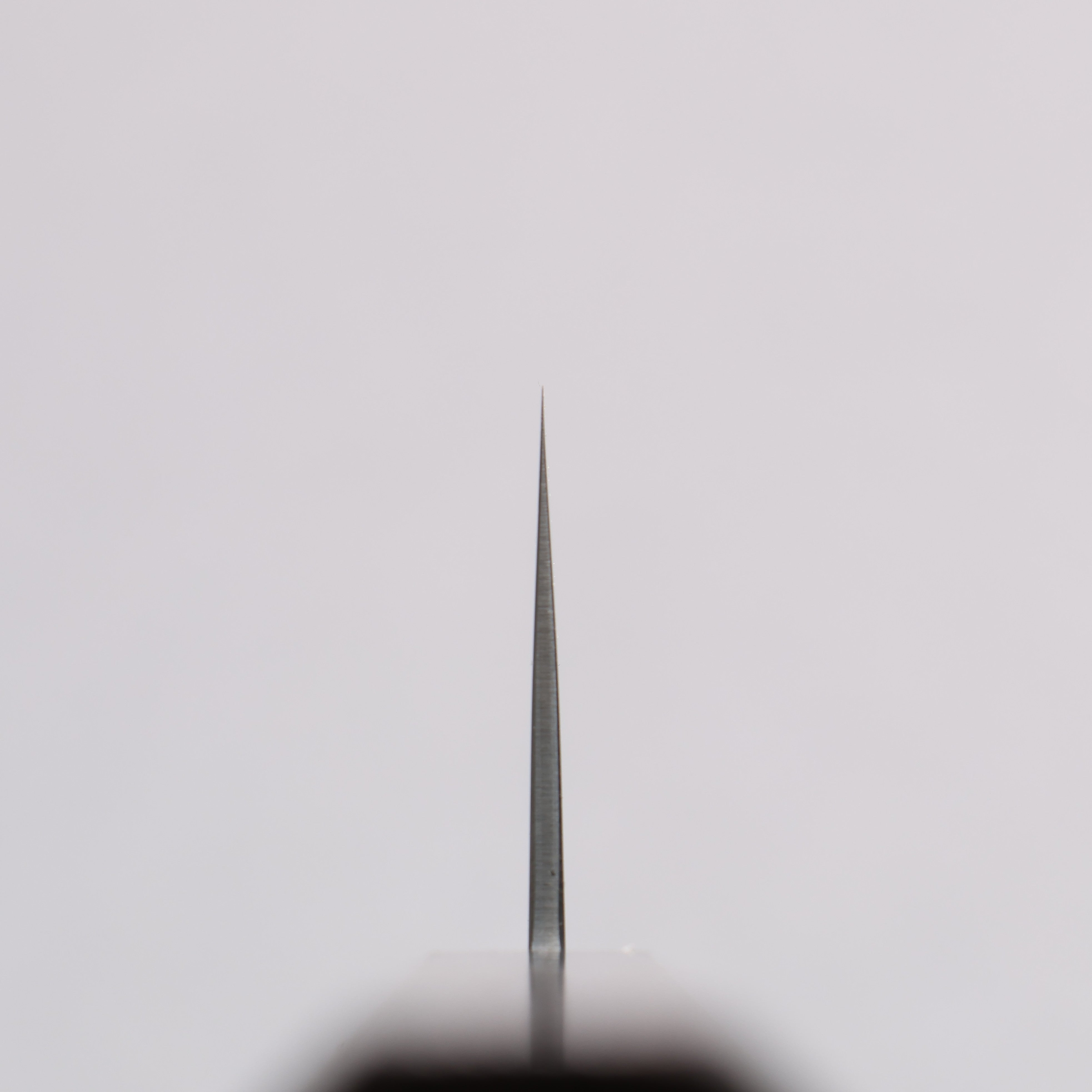 Seisuke ZDP189 Migaki Finished Bunka 180mm Wenge Handle - Japanny - Best Japanese Knife