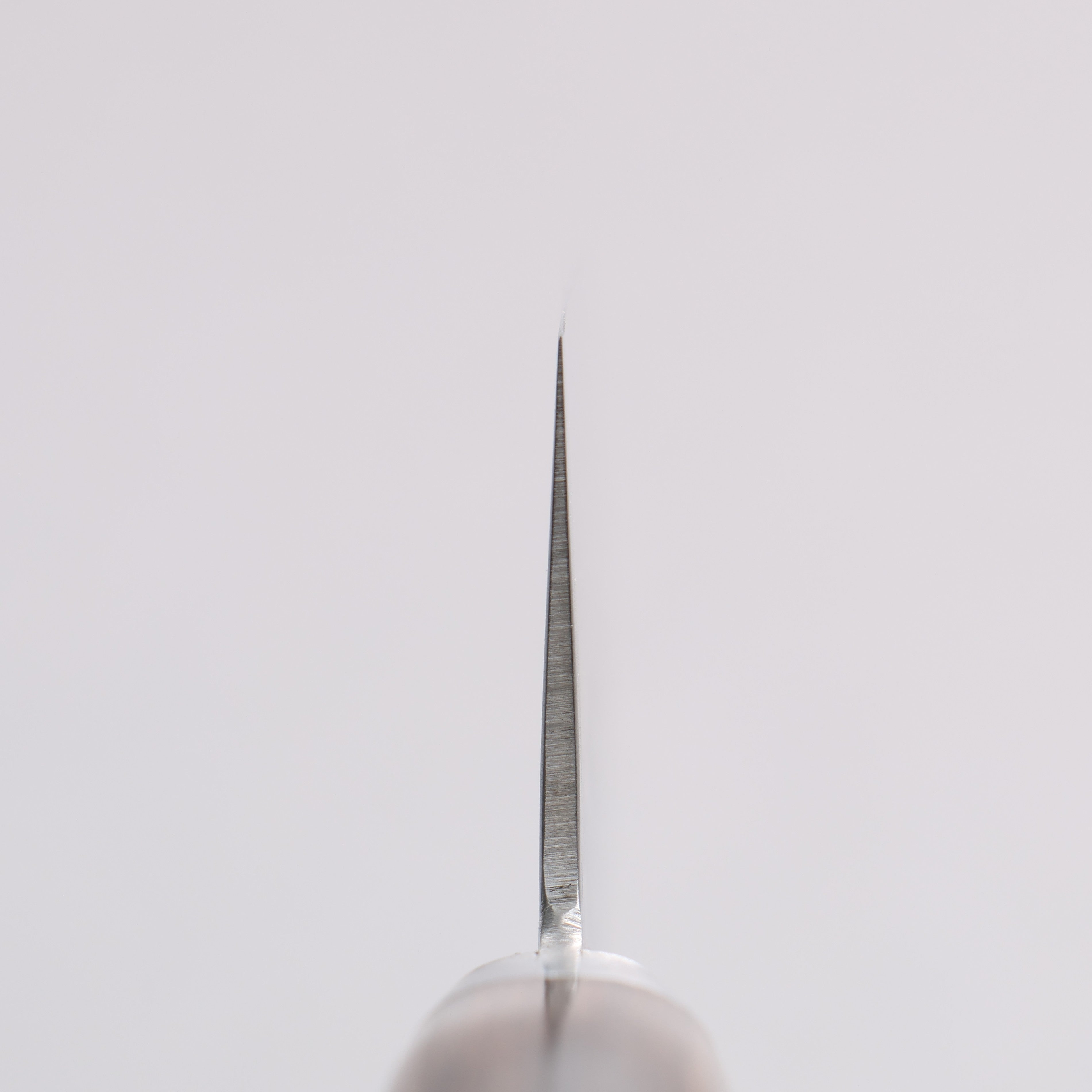 Seisuke VG10 Hammered Santoku 165mm Zebrawood Handle - Japanny - Best Japanese Knife