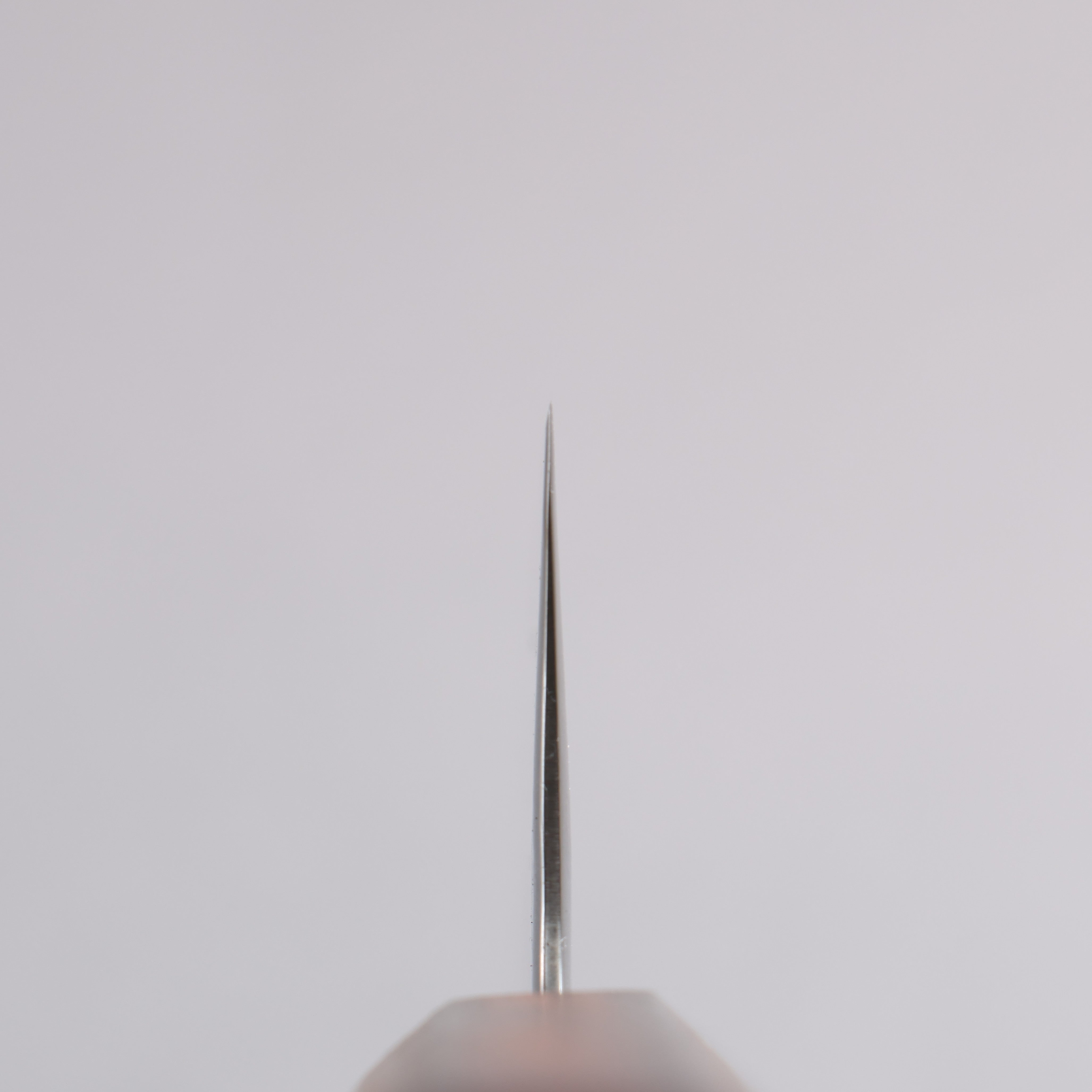 Seisuke Stainless Steel 440C Hammered Damascus Gyuto 210mm Oak Handle - Japanny - Best Japanese Knife