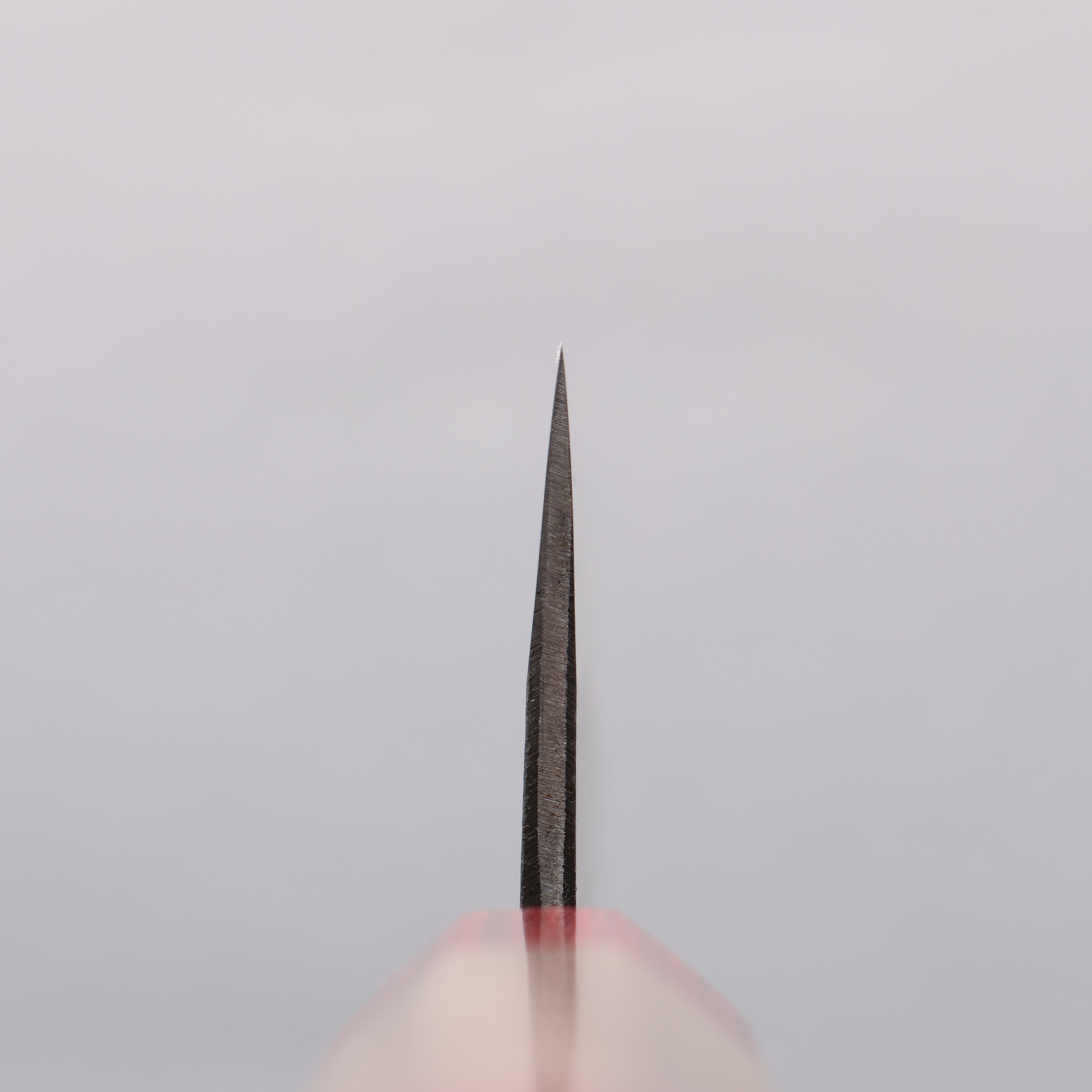 Seisuke Kurumi Blue Steel Kurouchi Santoku 165mm Walnut (With Double Red Pakka wood) Handle - Japanny - Best Japanese Knife