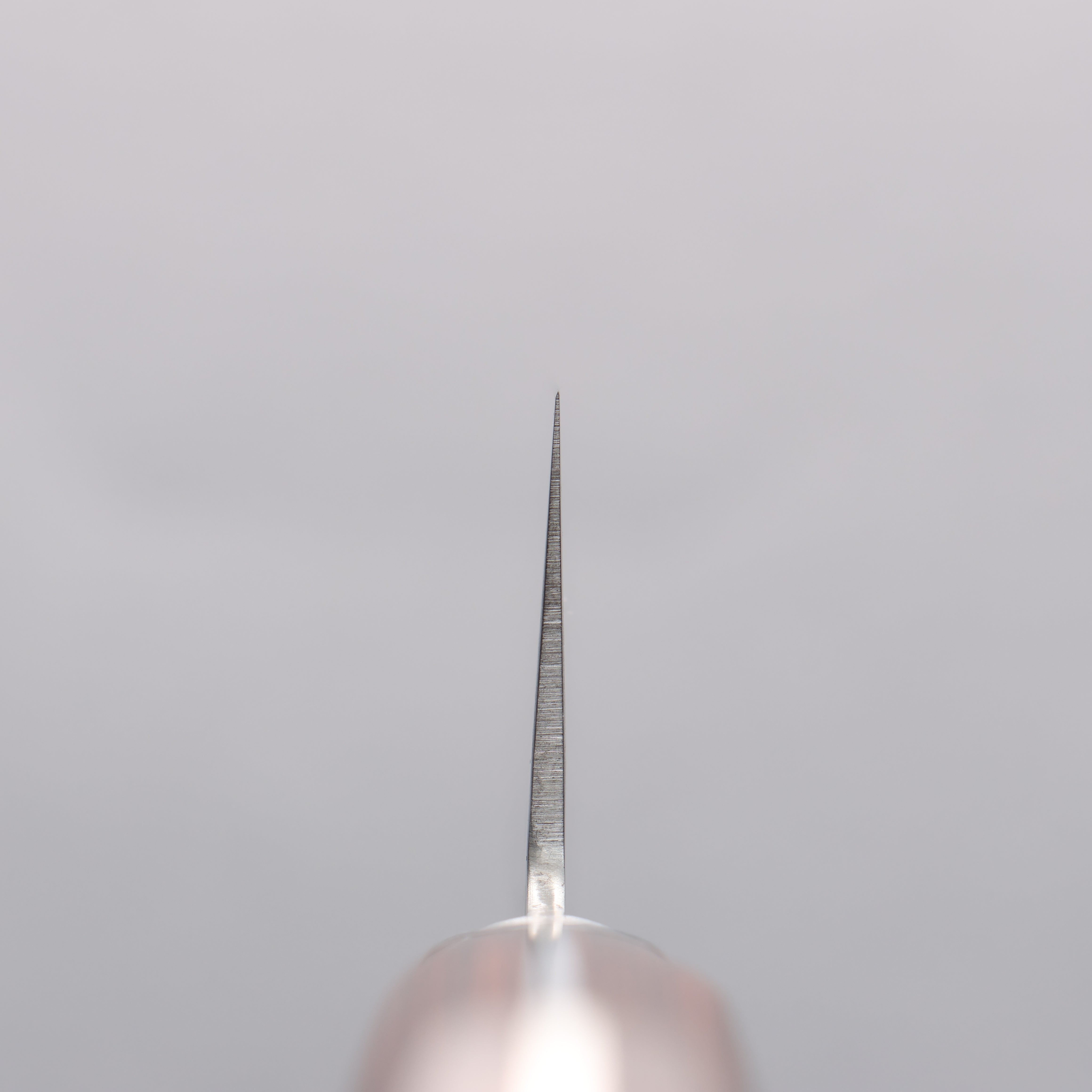 Seisuke VG10 17 Layer Damascus Santoku 180mm Mahogany Handle - Japanny - Best Japanese Knife