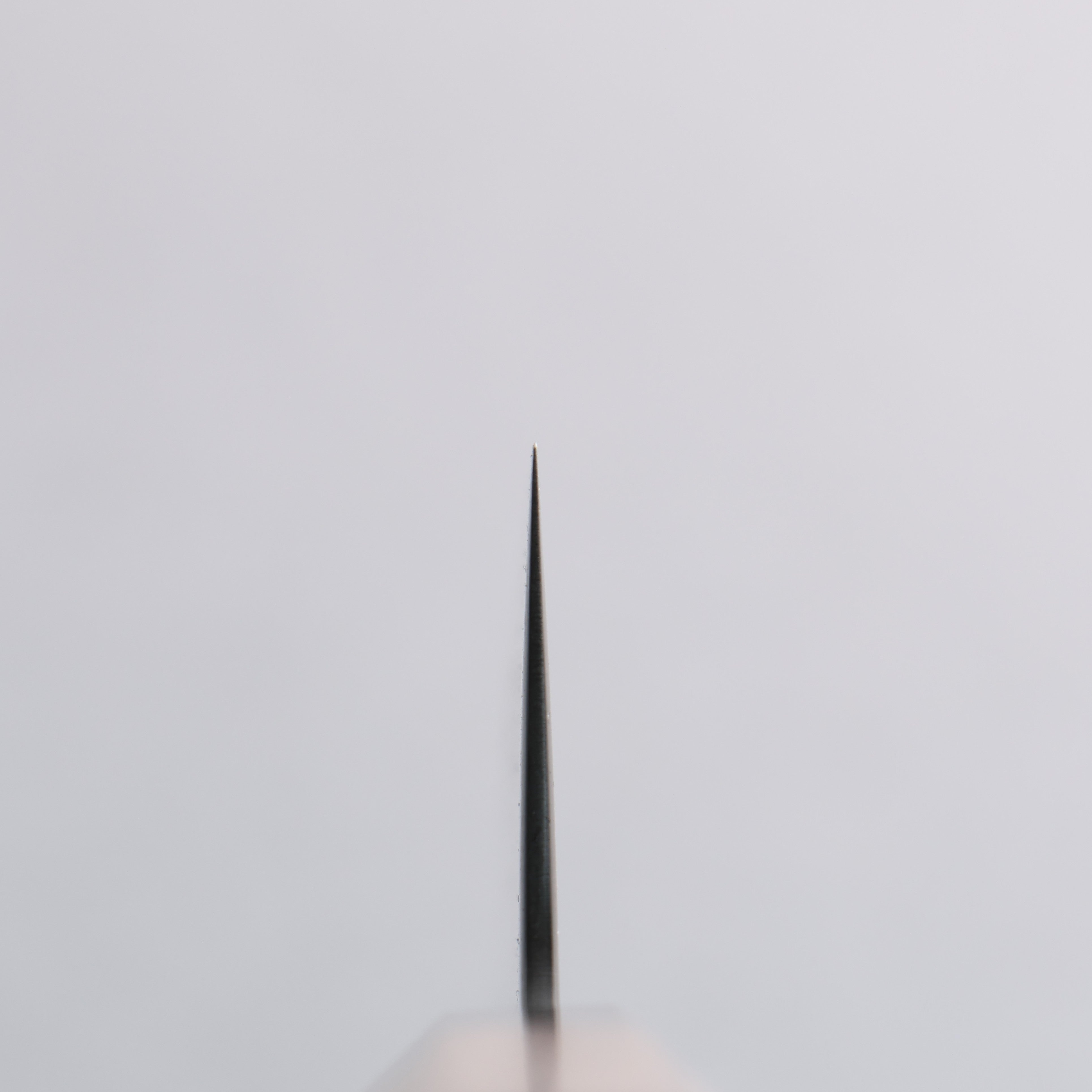 Kagekiyo ZA-18 Damascus black dye Gyuto 210mm Walnut Handle - Japanny - Best Japanese Knife