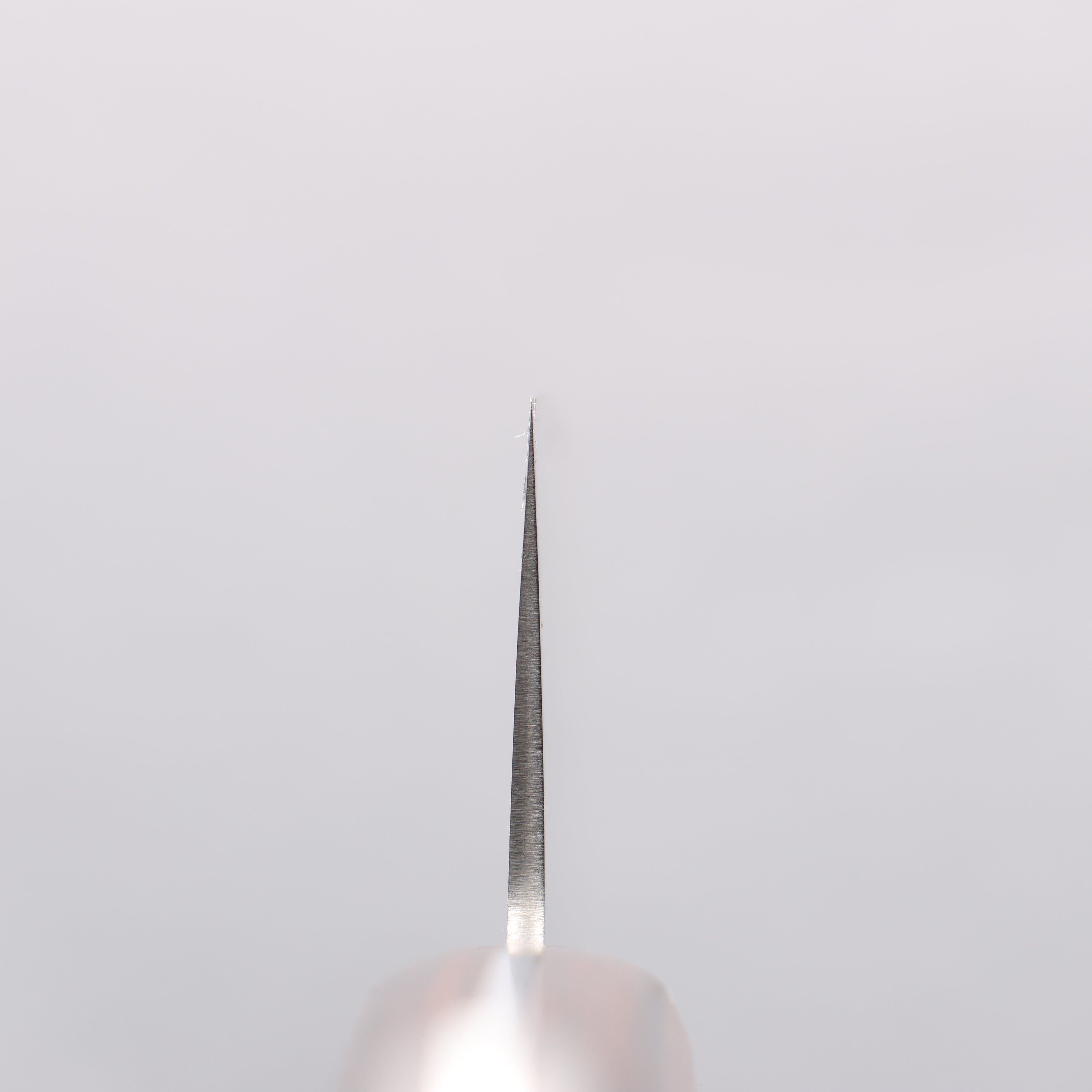 Seisuke SLD Migaki Polish Finish Gyuto 210mm Light Brown Pakka wood Handle - Japanny - Best Japanese Knife