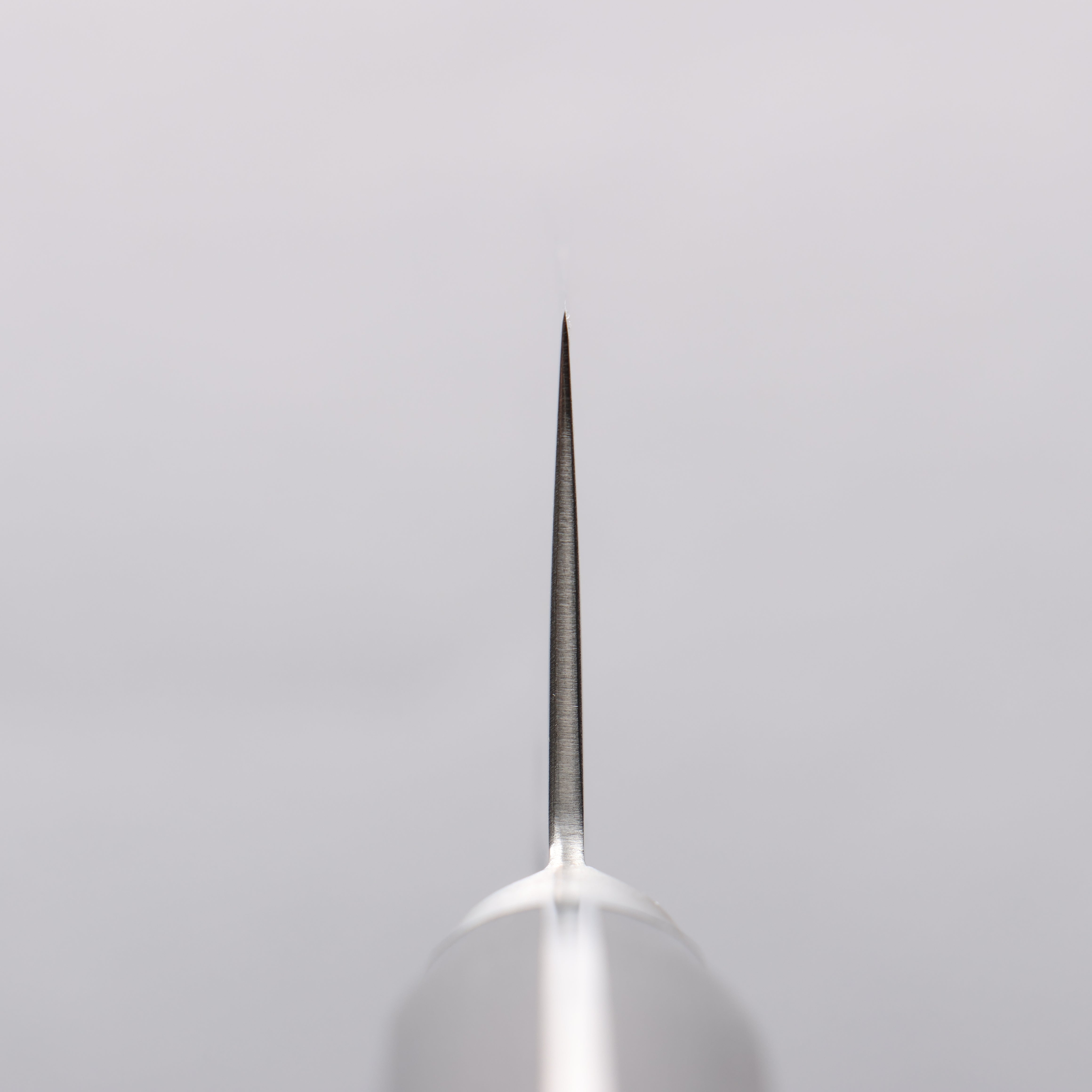 Seisuke VG10 33 Layer Damascus Gyuto 240mm Black Pakka wood Handle - Japanny - Best Japanese Knife