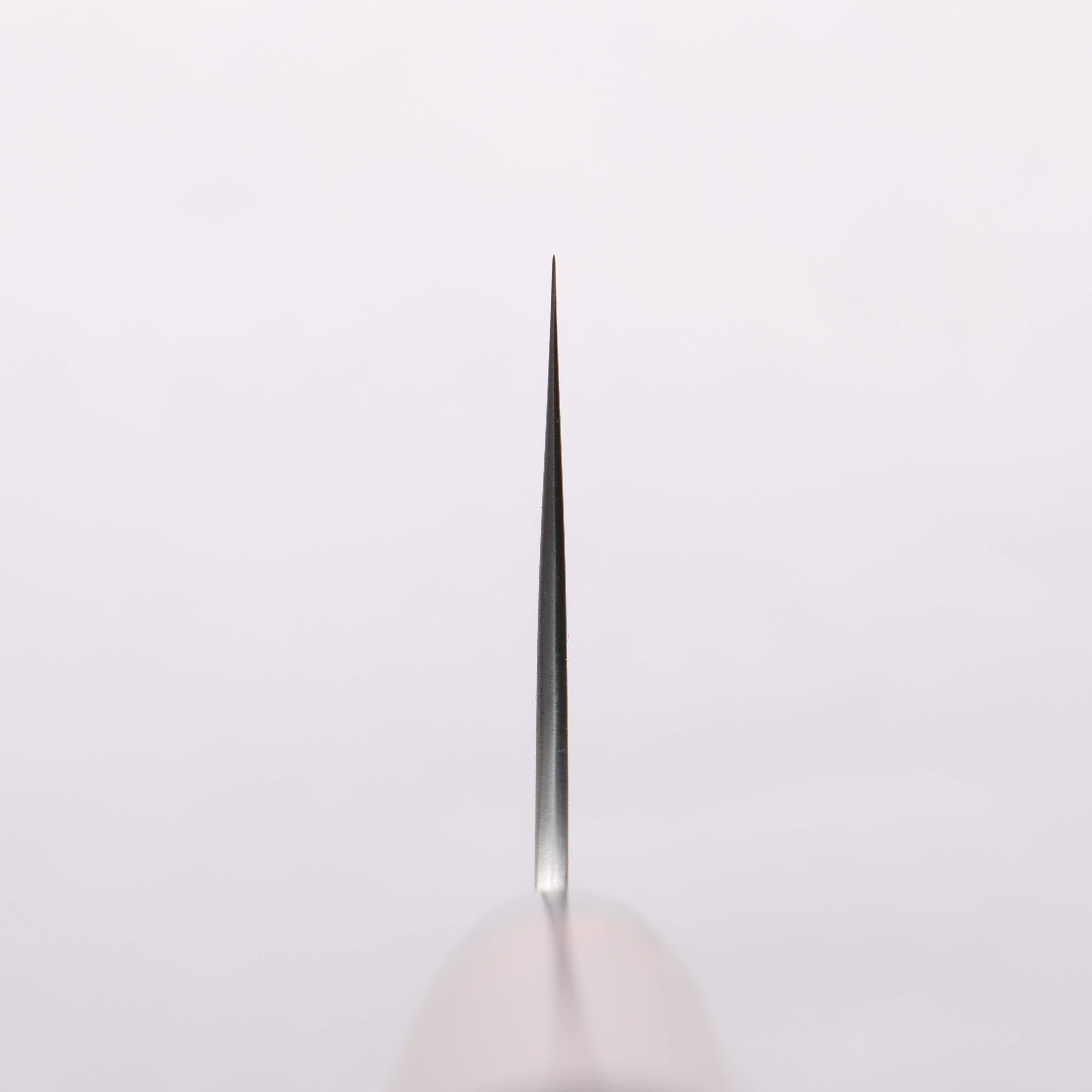 Shungo Ogata SG2 Migaki Finished Gyuto 240mm Shitan Handle - Japanny - Best Japanese Knife