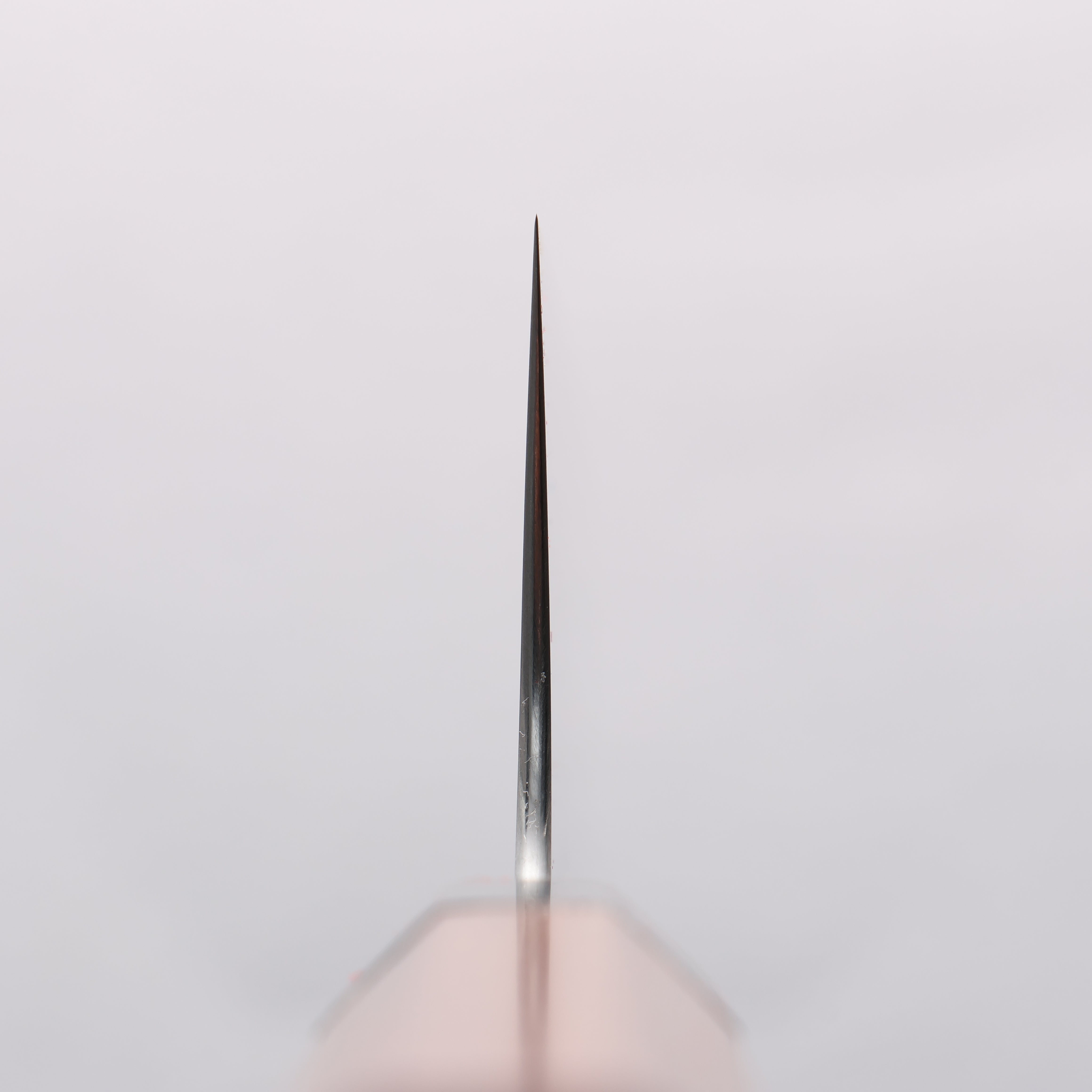 Shibata Takayuki Koutetsu SG2 Gyuto 240mm Jarrah Handle - Japanny - Best Japanese Knife