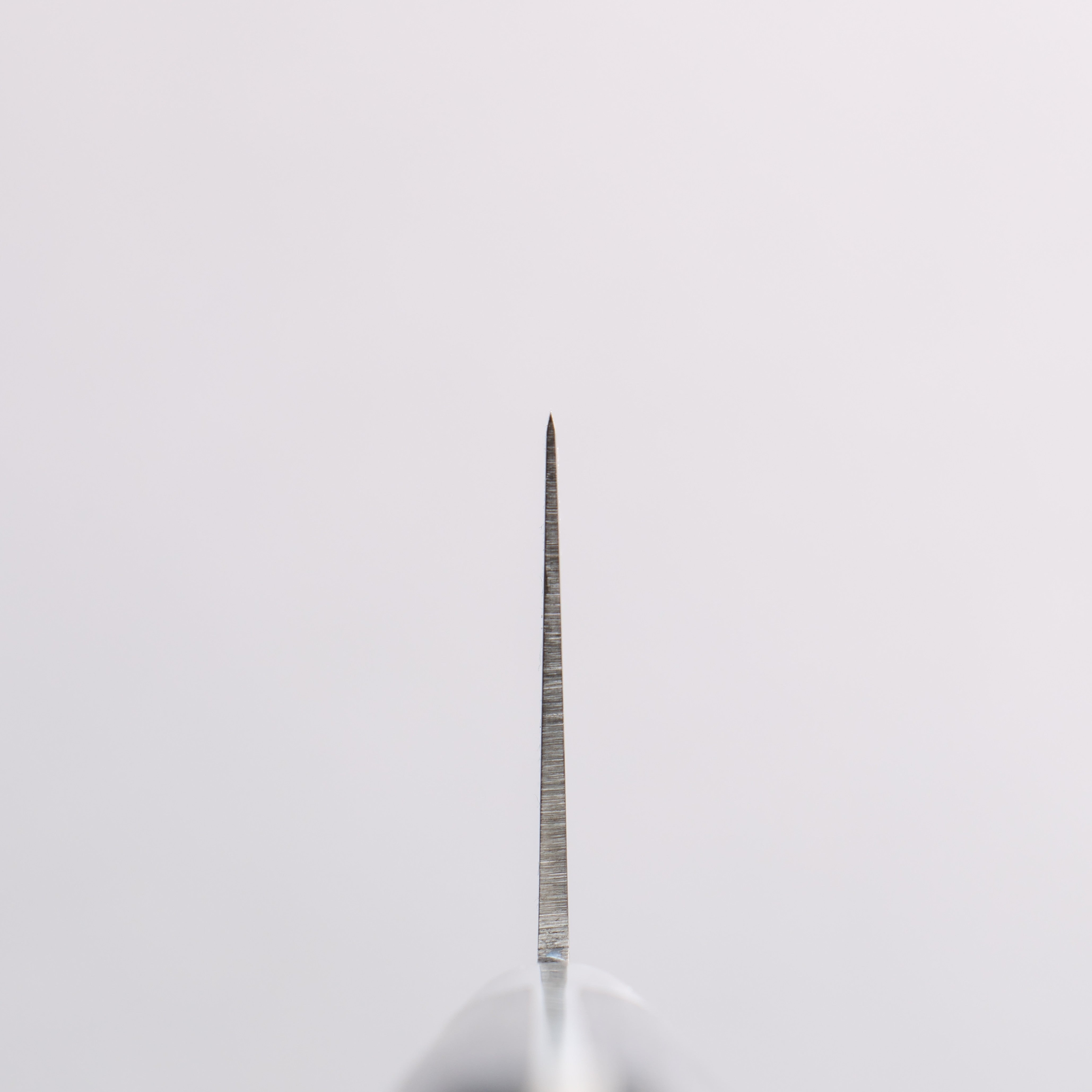 Seisuke Seiten Molybdenum Gyuto 210mm Navy blue Pakka wood Handle - Japanny - Best Japanese Knife