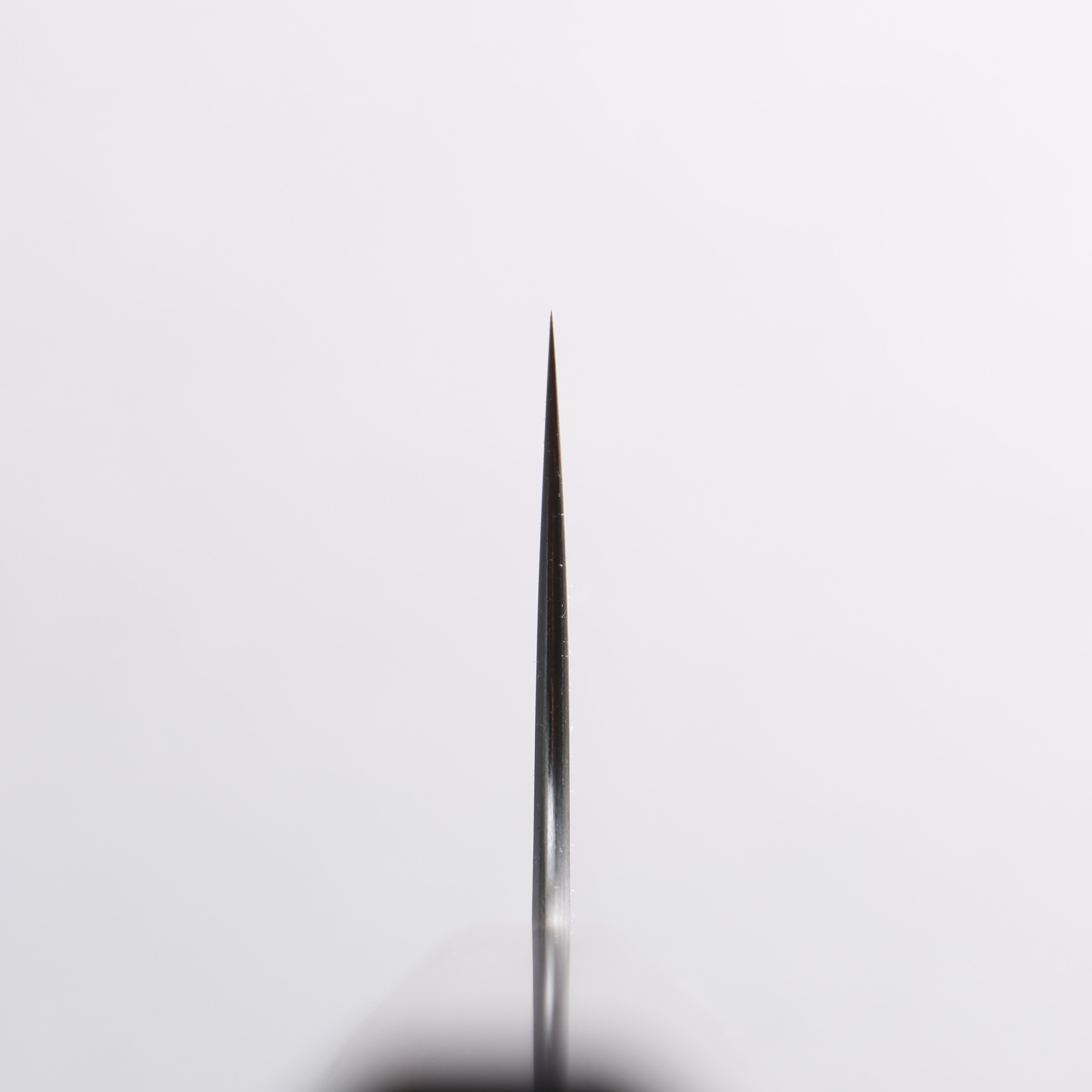 Shibata Takayuki Koutetsu SG2 Gyuto 240mm Rosewood Handle - Japanny - Best Japanese Knife