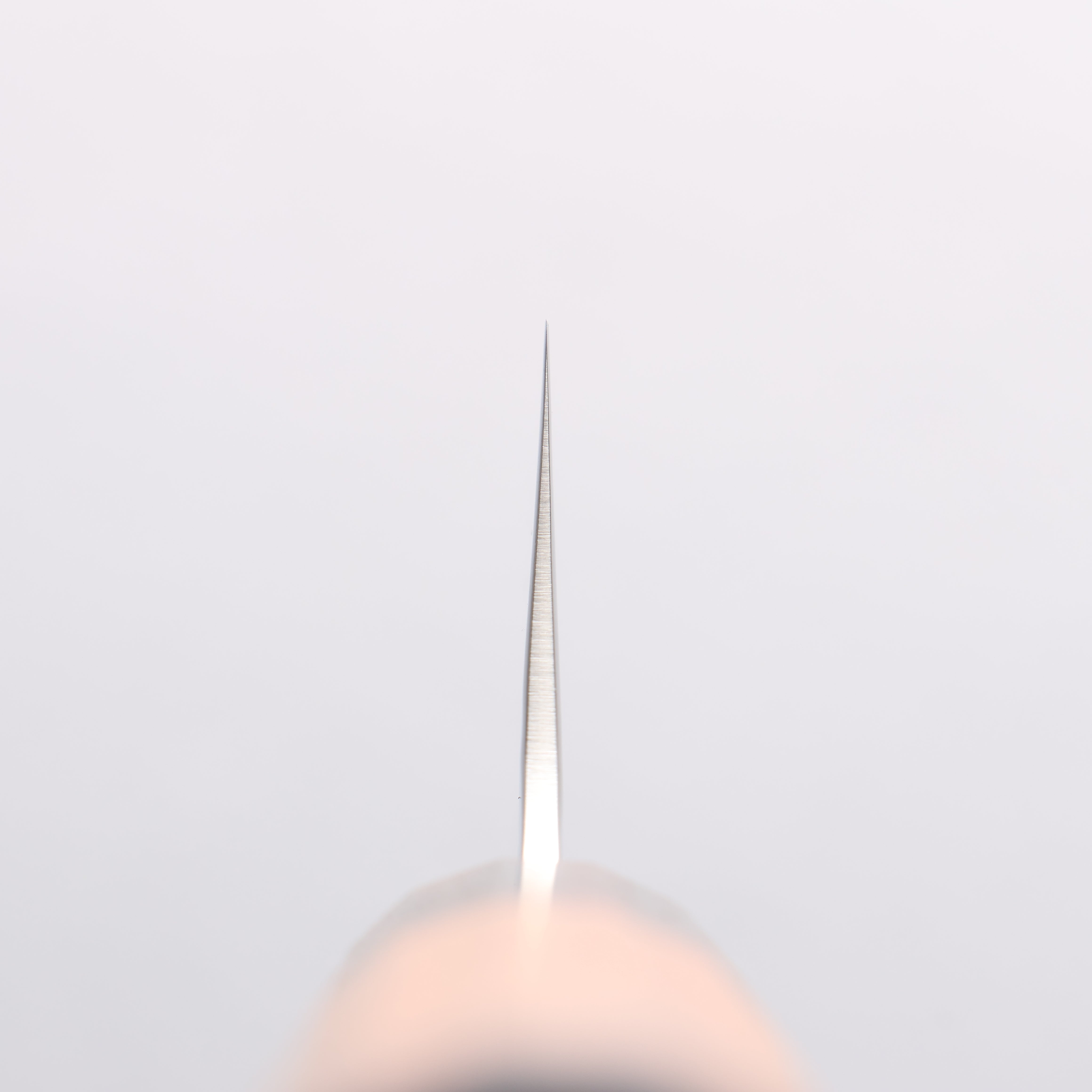 Sakai Takayuki VG10 33 Layer Damascus Kengata Santoku 160mm Mountain cherry (12 sided) Handle - Japanny - Best Japanese Knife