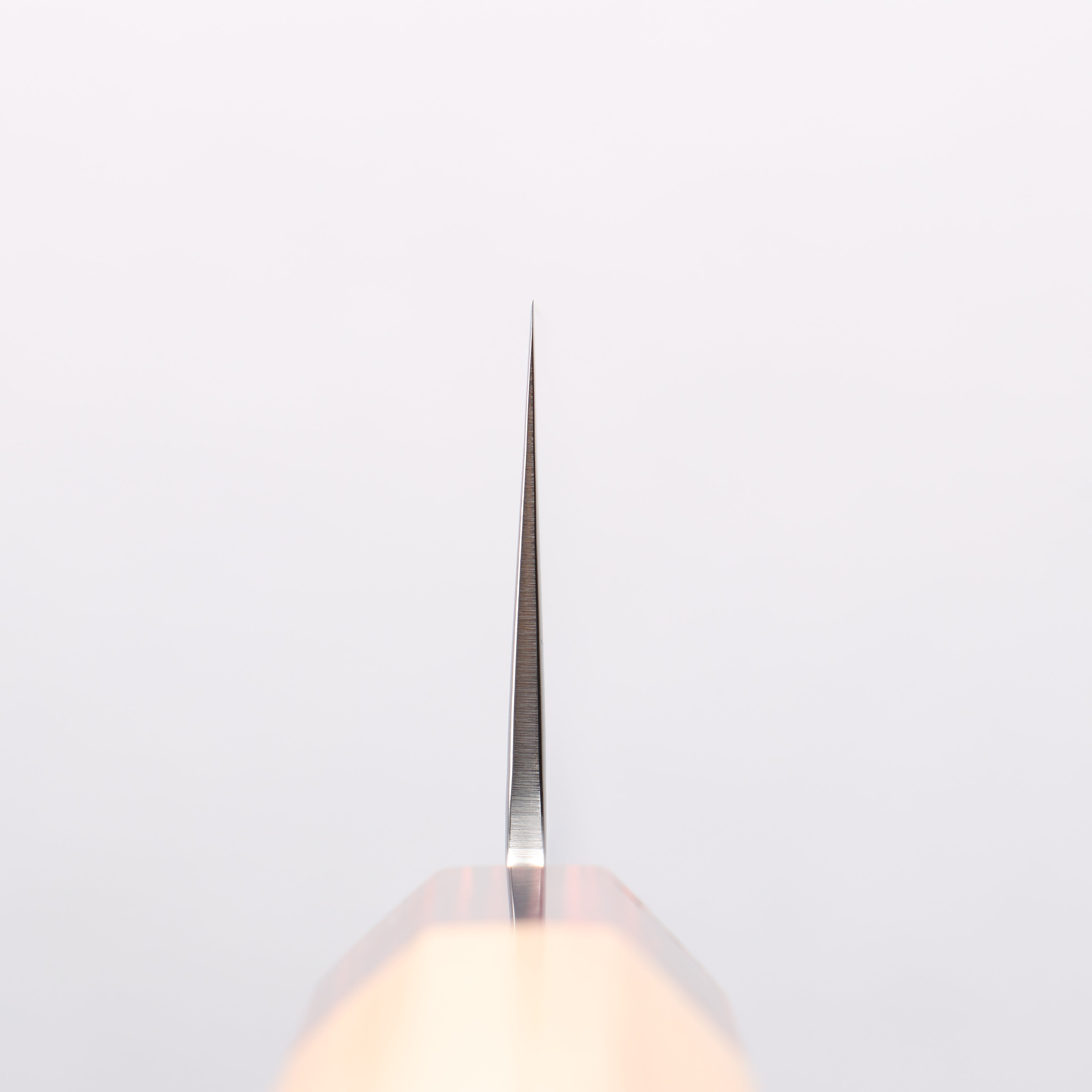 Sakai Takayuki VG10 33 Layer Damascus Gyuto 210mm Keyaki (Japanese Elm) Handle - (Super Deal) - Japanny - Best Japanese Knife