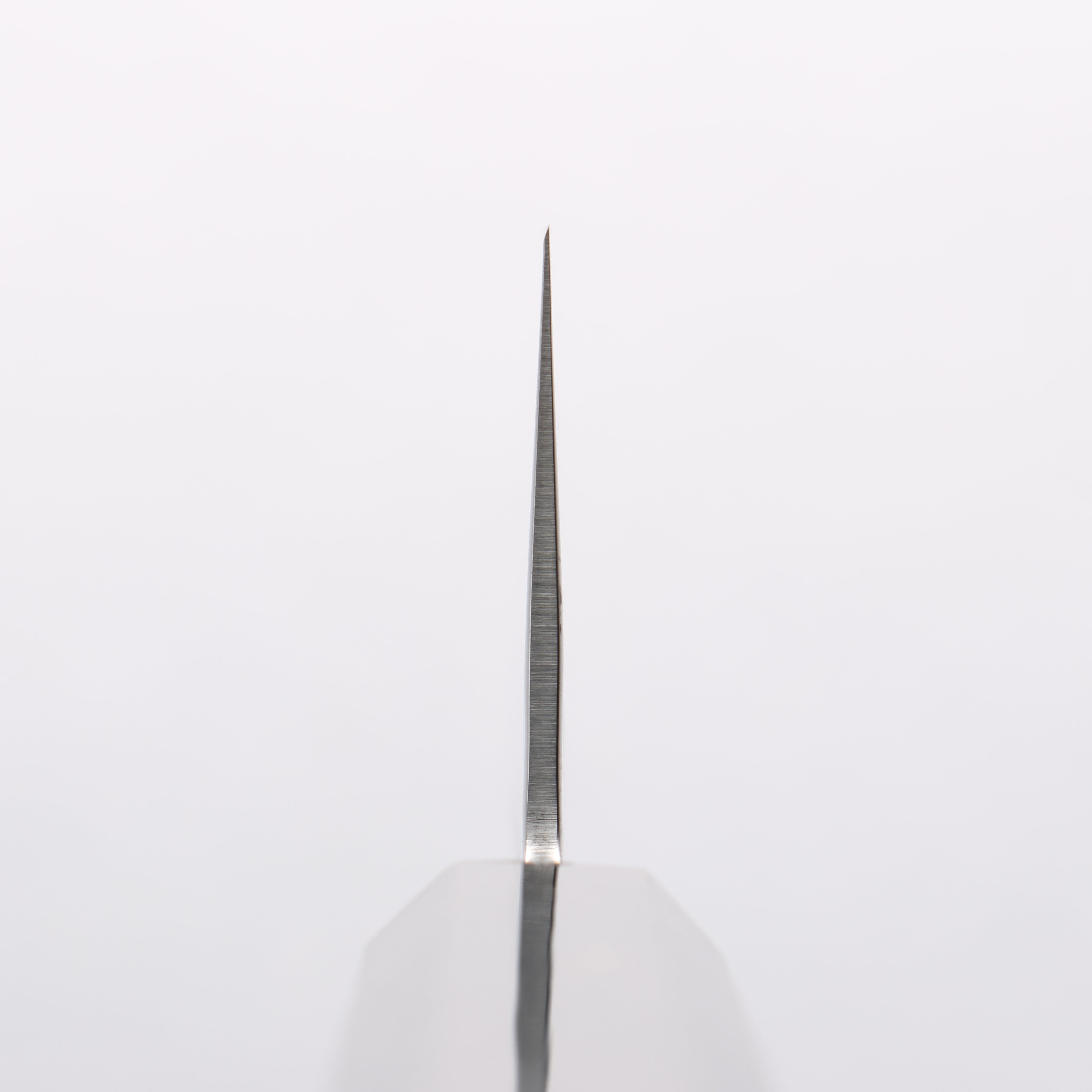 Sakai Takayuki VG10 33 Layer Damascus Gyuto 240mm Live oak Lacquered (Saiu) Handle - Japanny - Best Japanese Knife