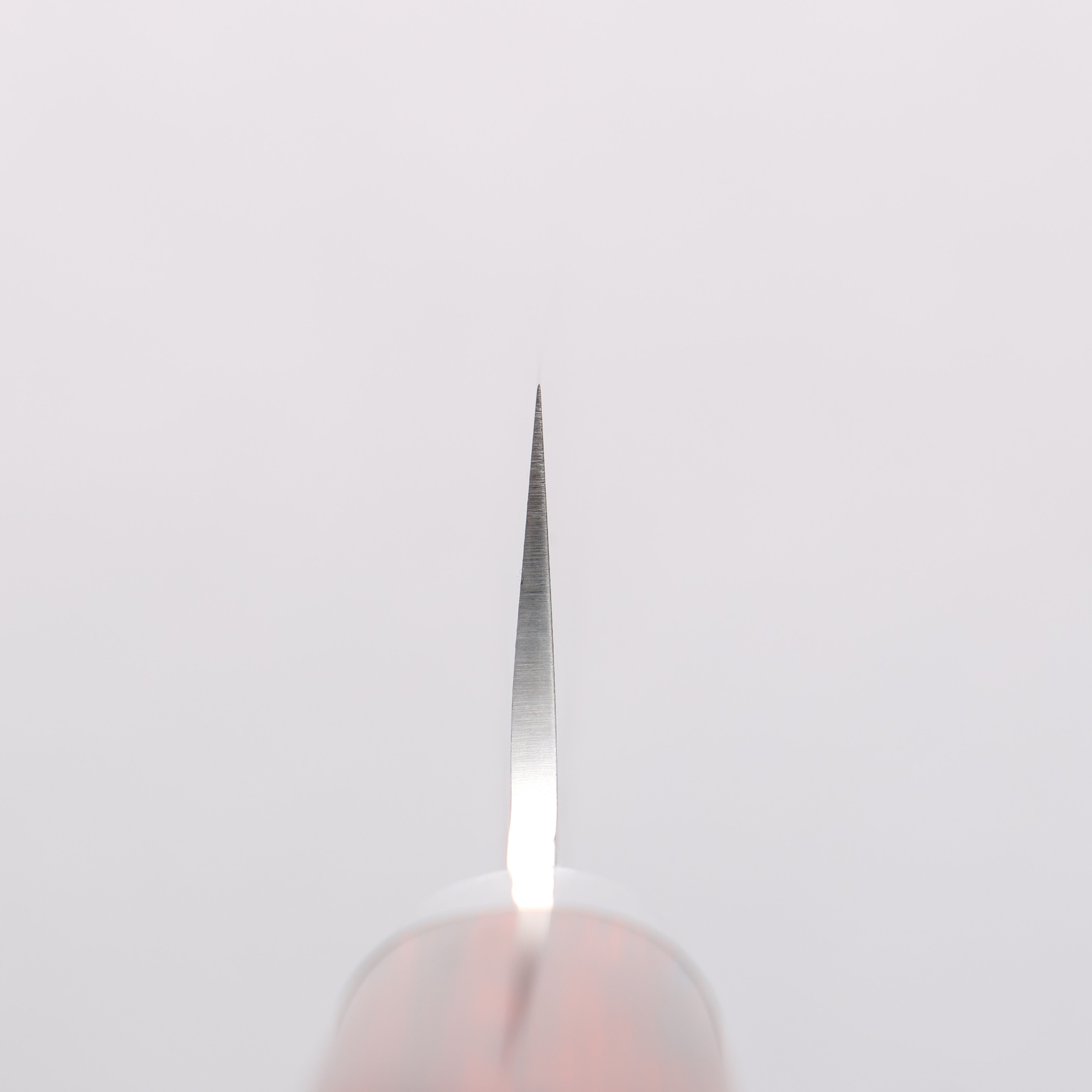 Sakai Takayuki VG10 33 Layer Damascus Sujihiki 240mm Mahogany Pakka wood Handle - Japanny - Best Japanese Knife