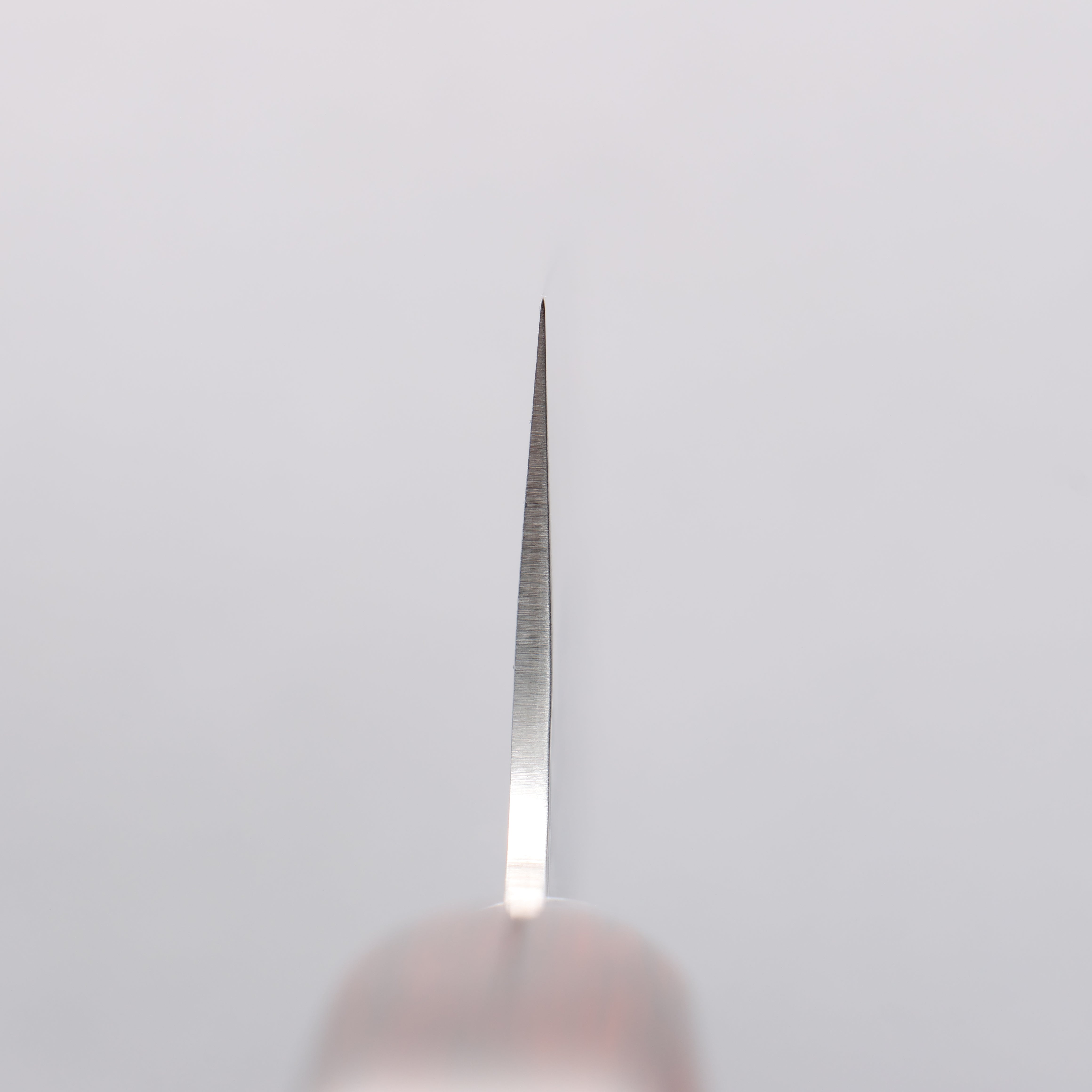 Sakai Takayuki VG10 33 Layer Damascus Butcher 210mm Mahogany Pakka wood Handle (Super Deal) - Japanny - Best Japanese Knife