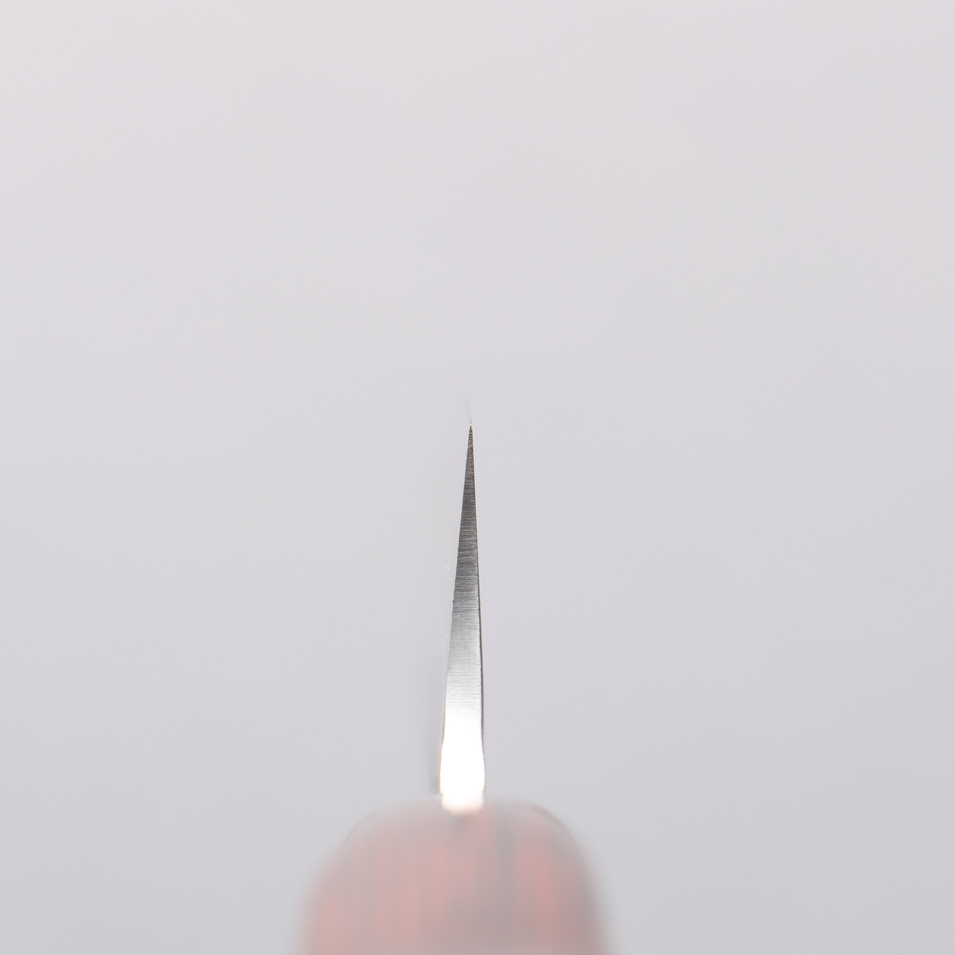 Sakai Takayuki VG10 33 Layer Damascus Petty-Utility 150mm Mahogany Pakka wood Handle - Japanny - Best Japanese Knife