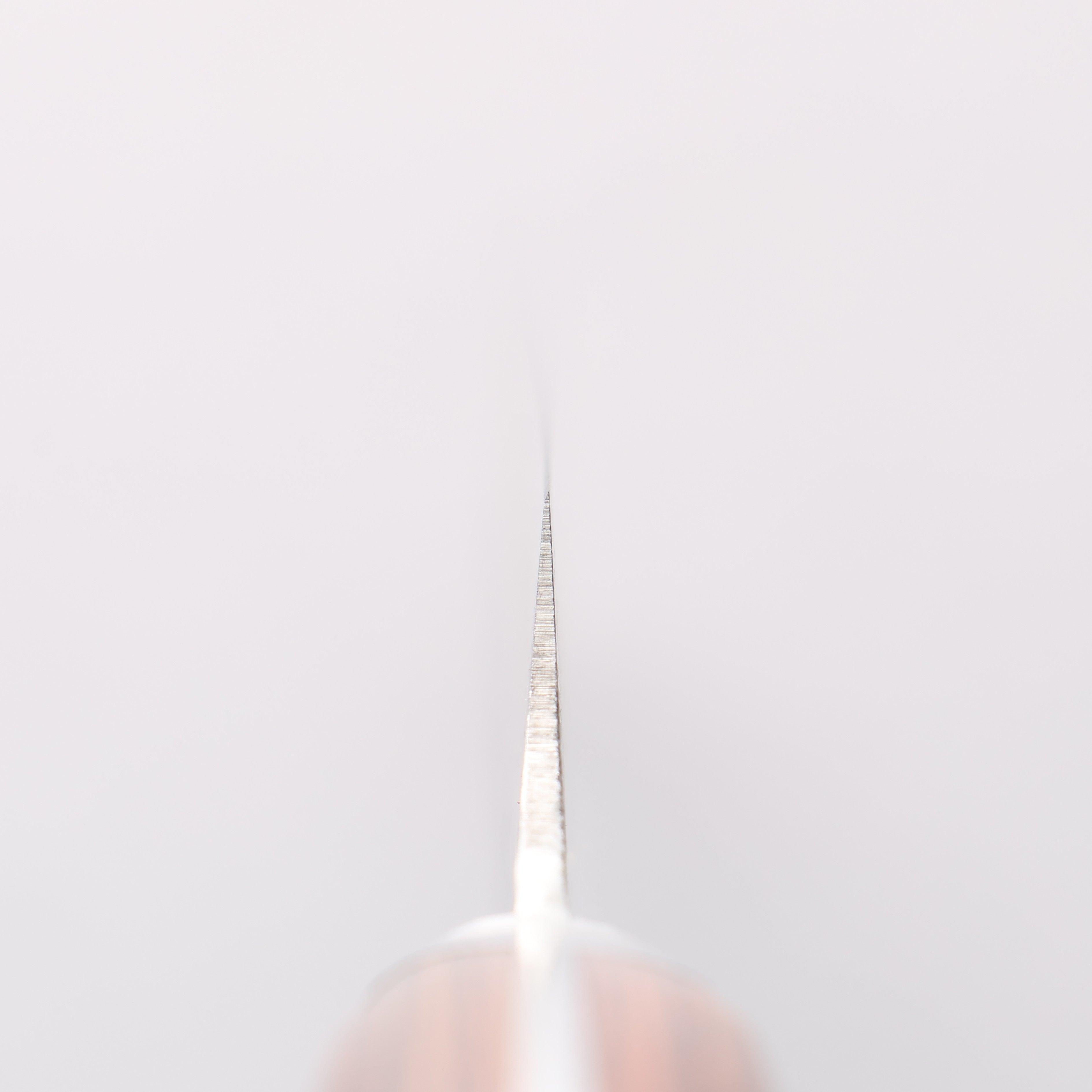 Jikko VG10 17 Layer Sakimaru Yanagiba 300mm Mahogany Handle - Japanny - Best Japanese Knife