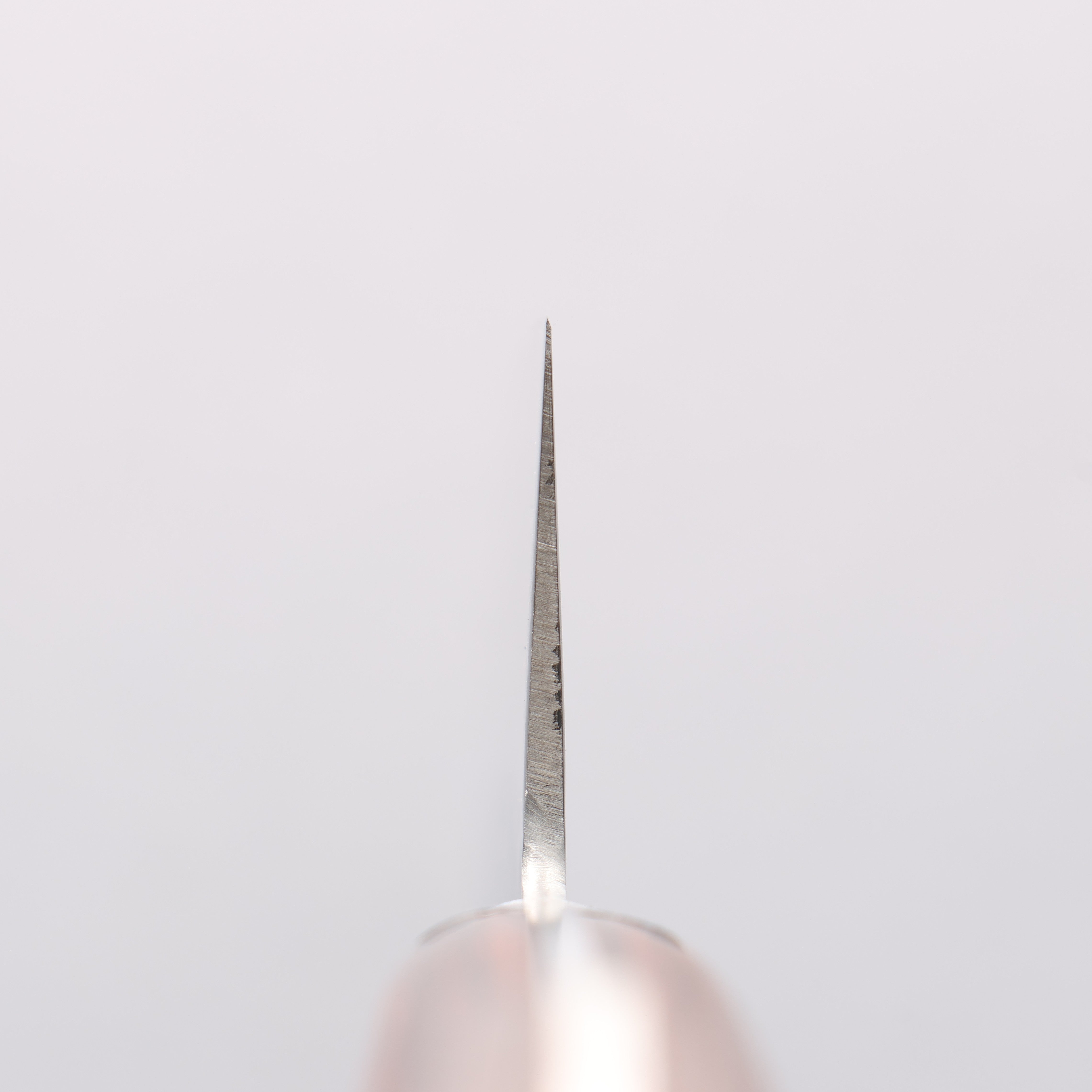 Seisuke VG10 17 Layer Damascus Gyuto 240mm Mahogany Handle - Japanny - Best Japanese Knife