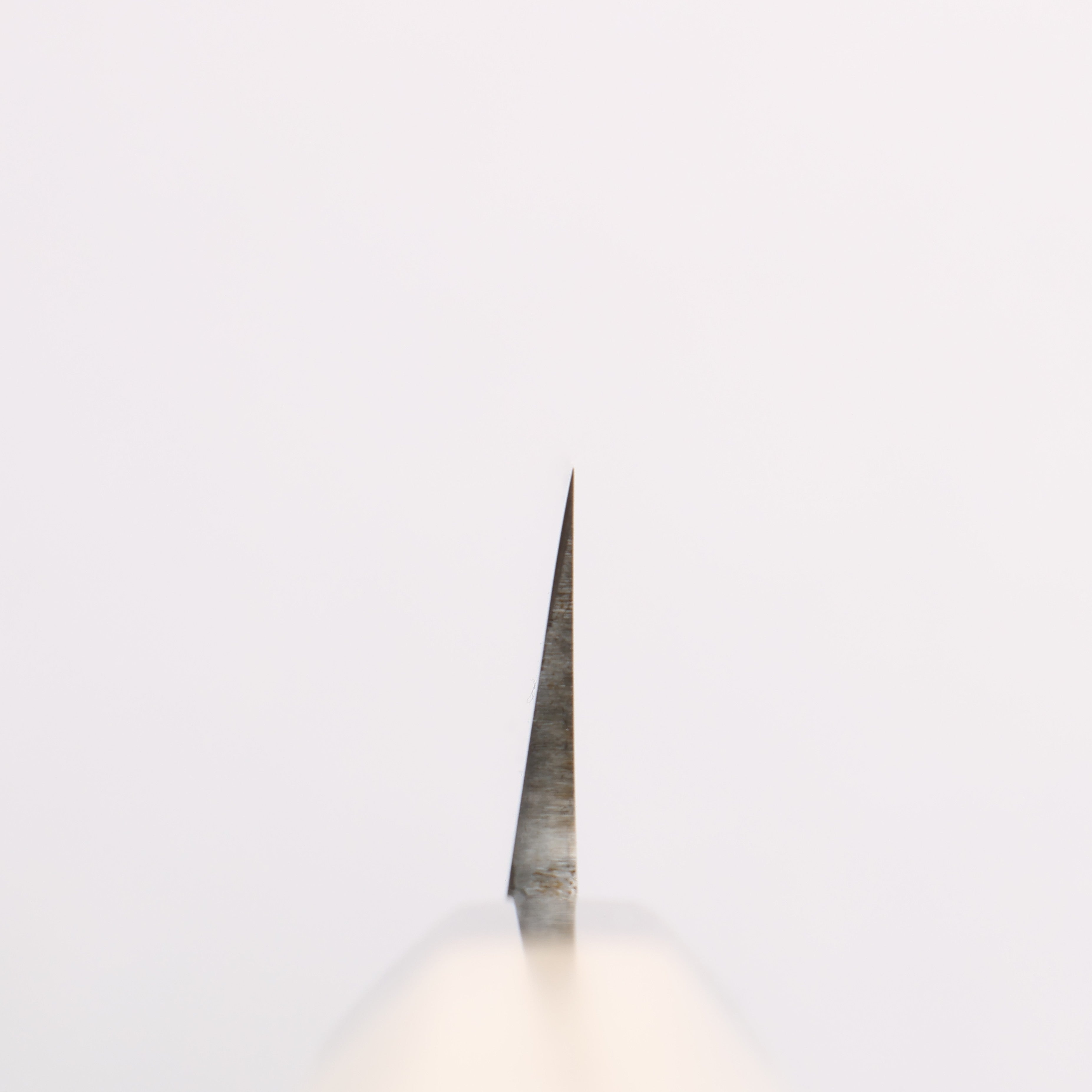 Minamoto Akitada Blue Steel No.1 Yanagiba 300mm Magnolia (Ferrule: Water Buffalo Horn) Handle - Japanny - Best Japanese Knife