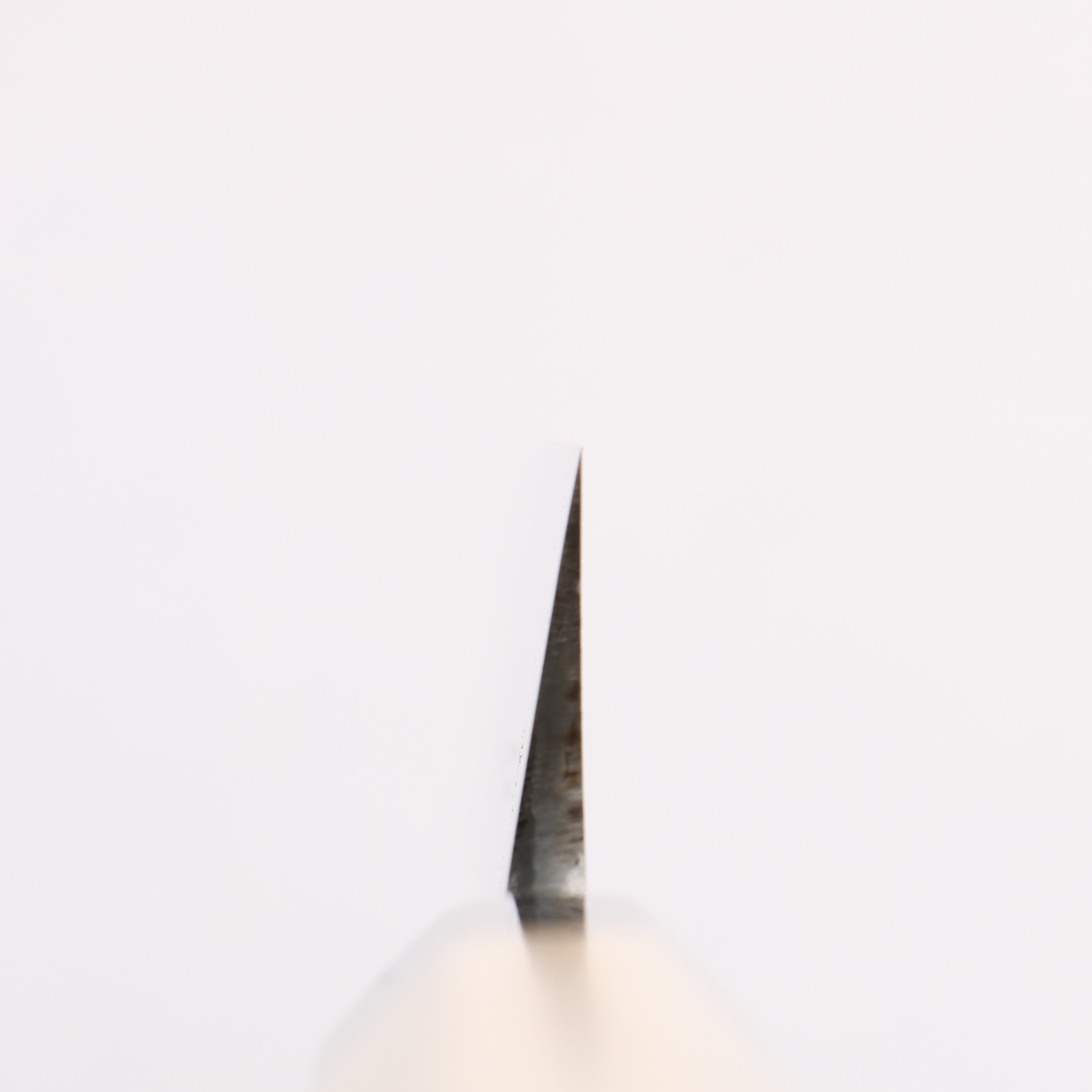 Minamoto Akitada Blue Steel No.2 Yanagiba 300mm Magnolia (Ferrule: Water Buffalo Horn) Handle - Japanny - Best Japanese Knife