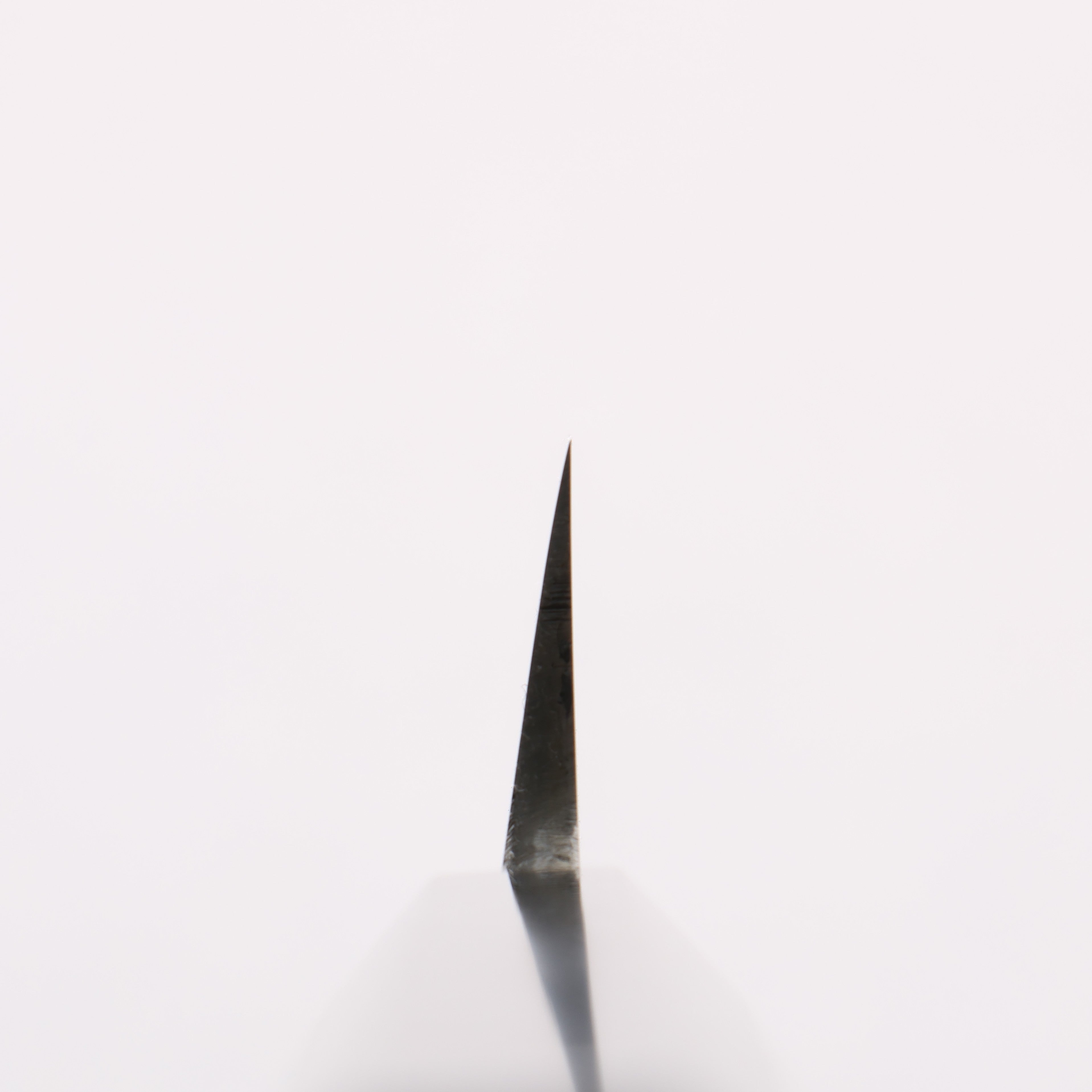 Minamoto Akitada Blue Steel No.2 Yanagiba 300mm Ebony Wood Handle - Japanny - Best Japanese Knife