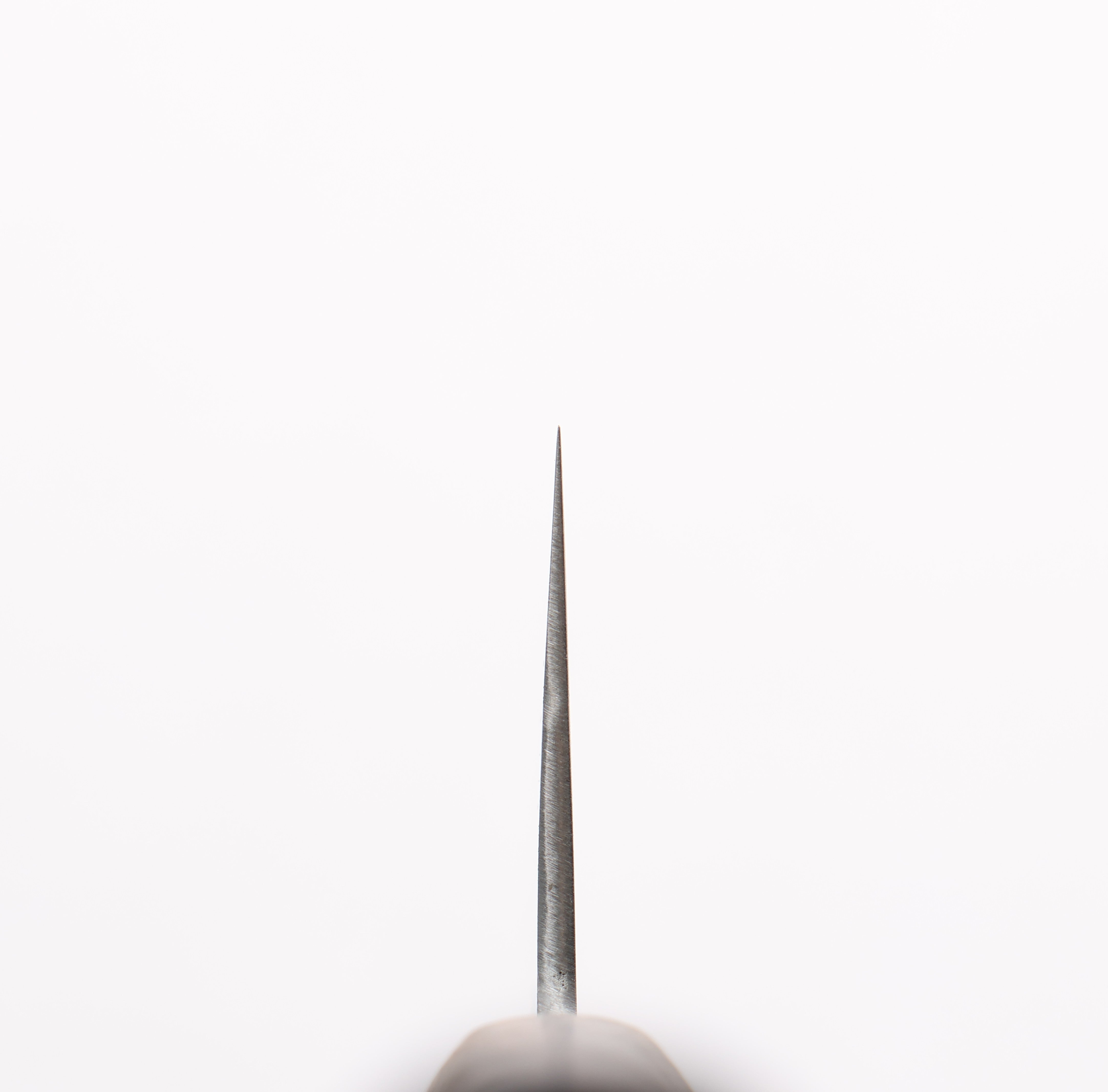 Shigeki Tanaka Majiro Silver Steel No.3 Gyuto 210mm Ebony Wood Handle - Japanny - Best Japanese Knife