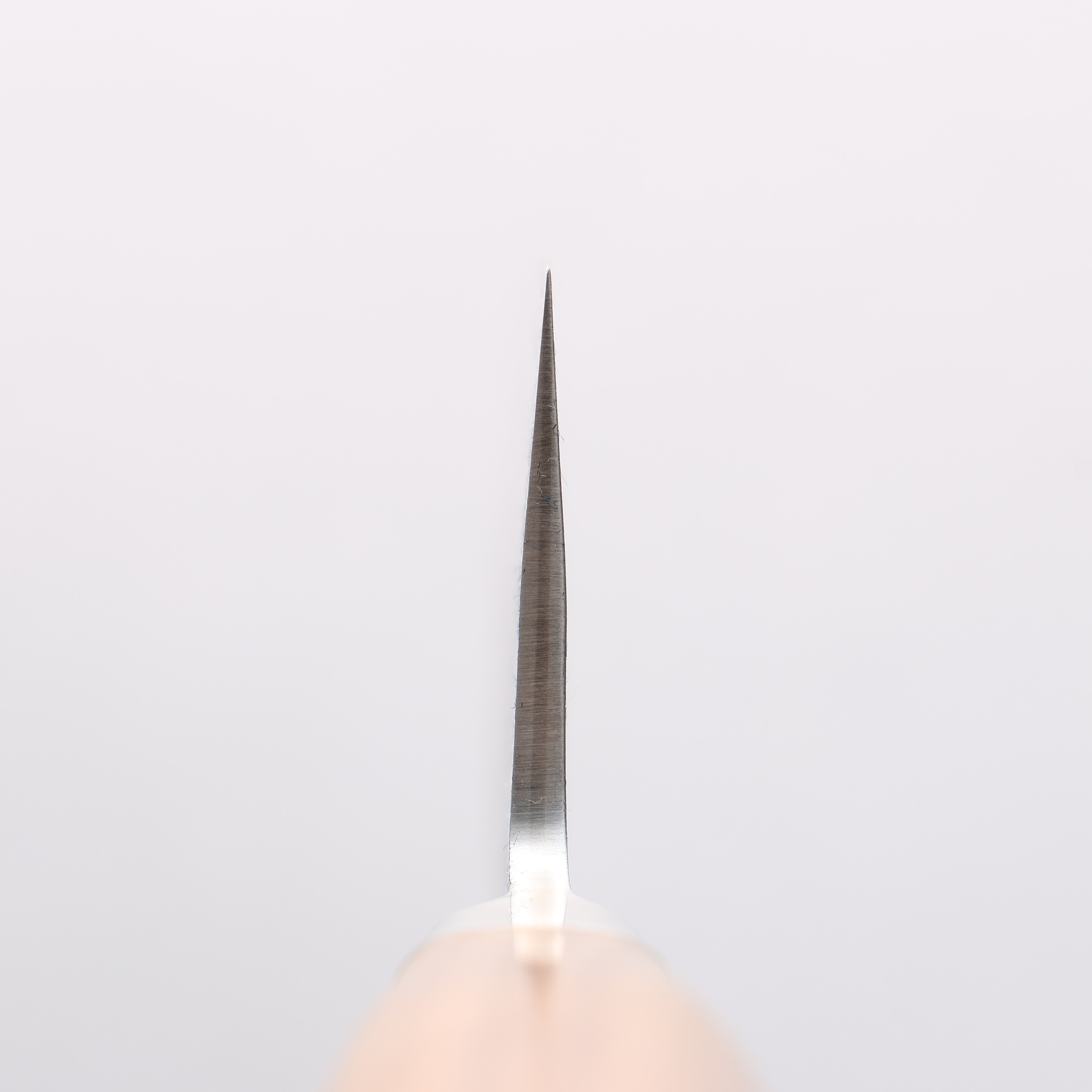 Oul SLD Nashiji Kiritsuke Gyuto 210mm Walnut Handle - Japanny - Best Japanese Knife