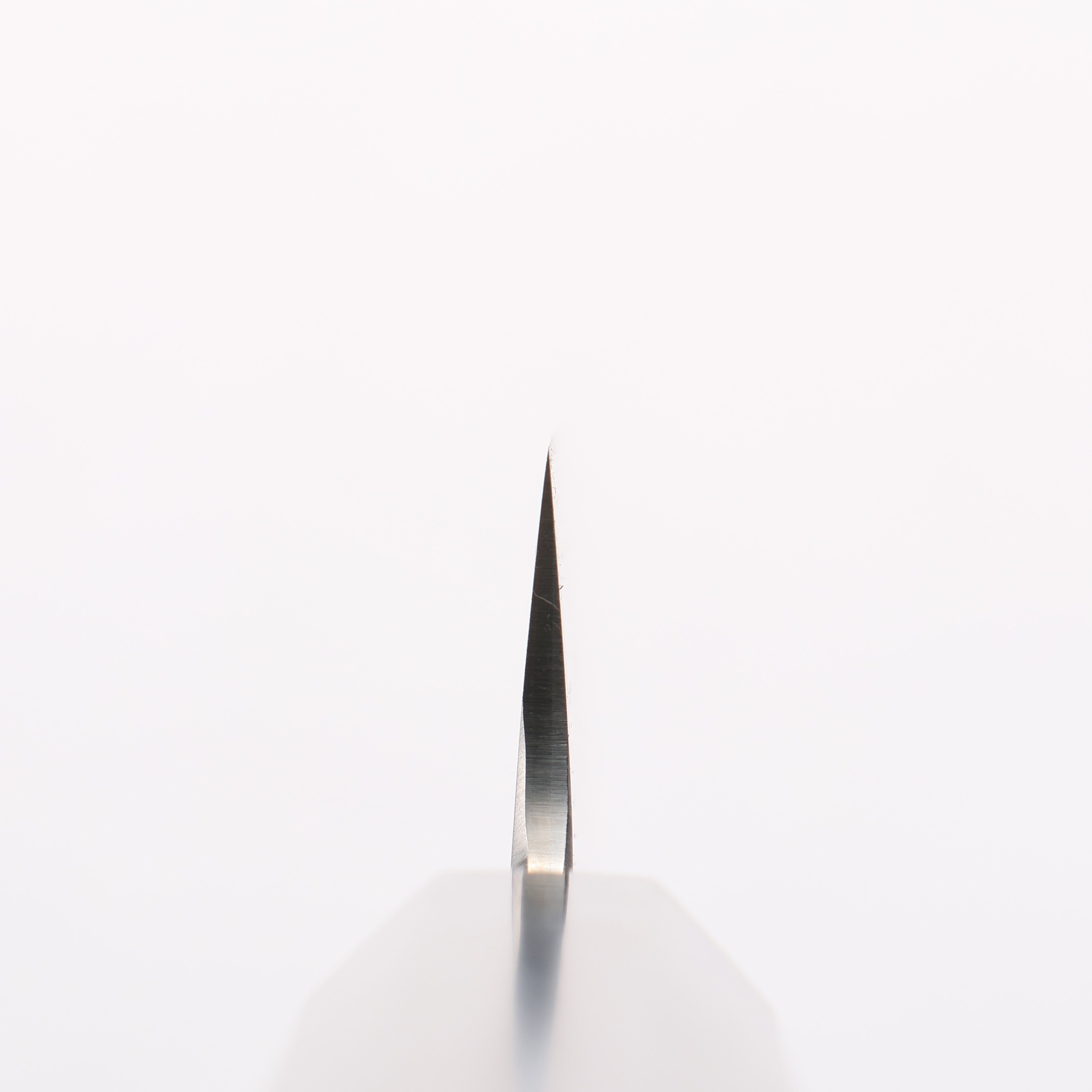 Sakai Takayuki Silver Steel No.3 Sujihiki 240mm - Japanny - Best Japanese Knife